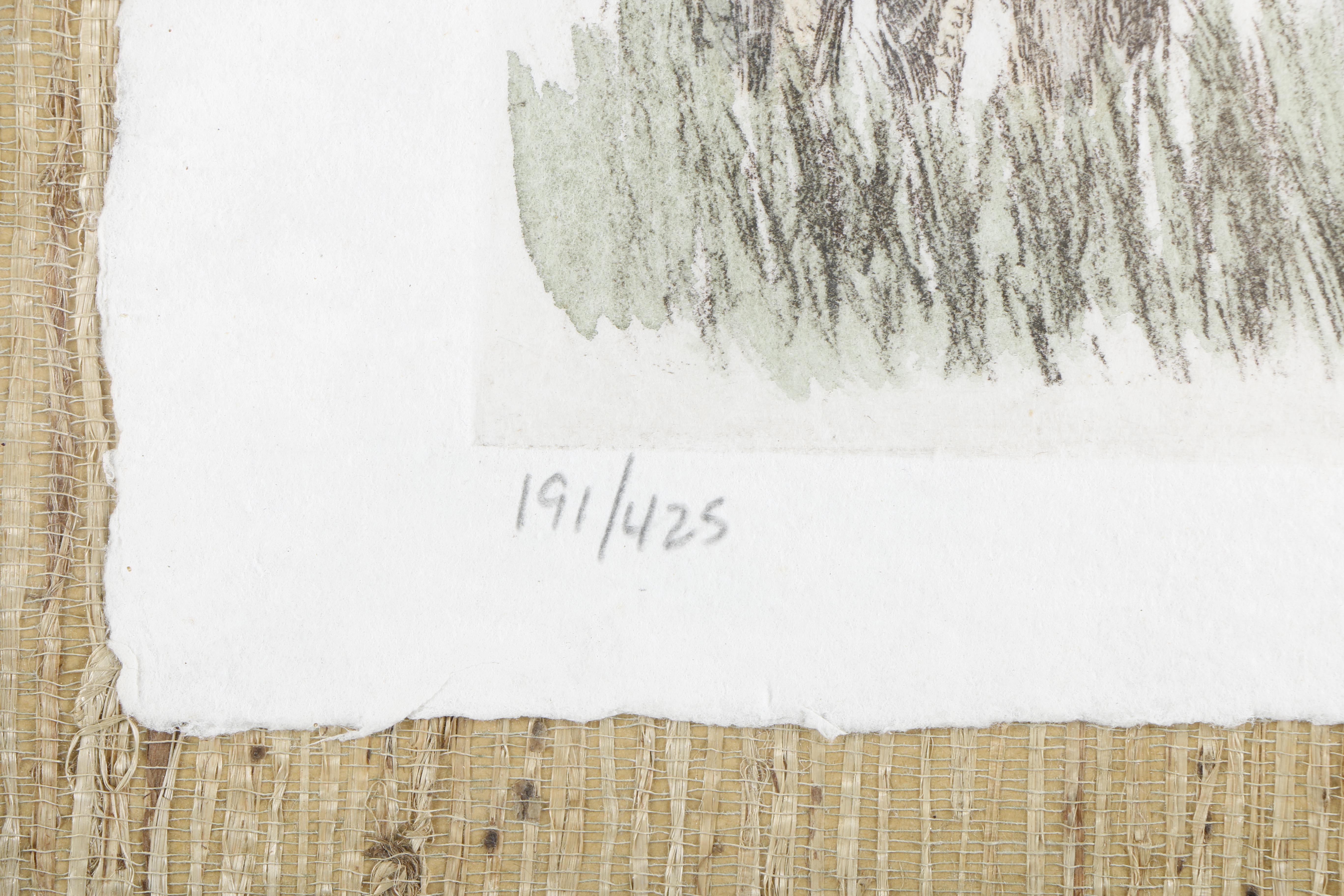 Victor Hohne Limited Edition Hand-colored Etching of Rhinoceros