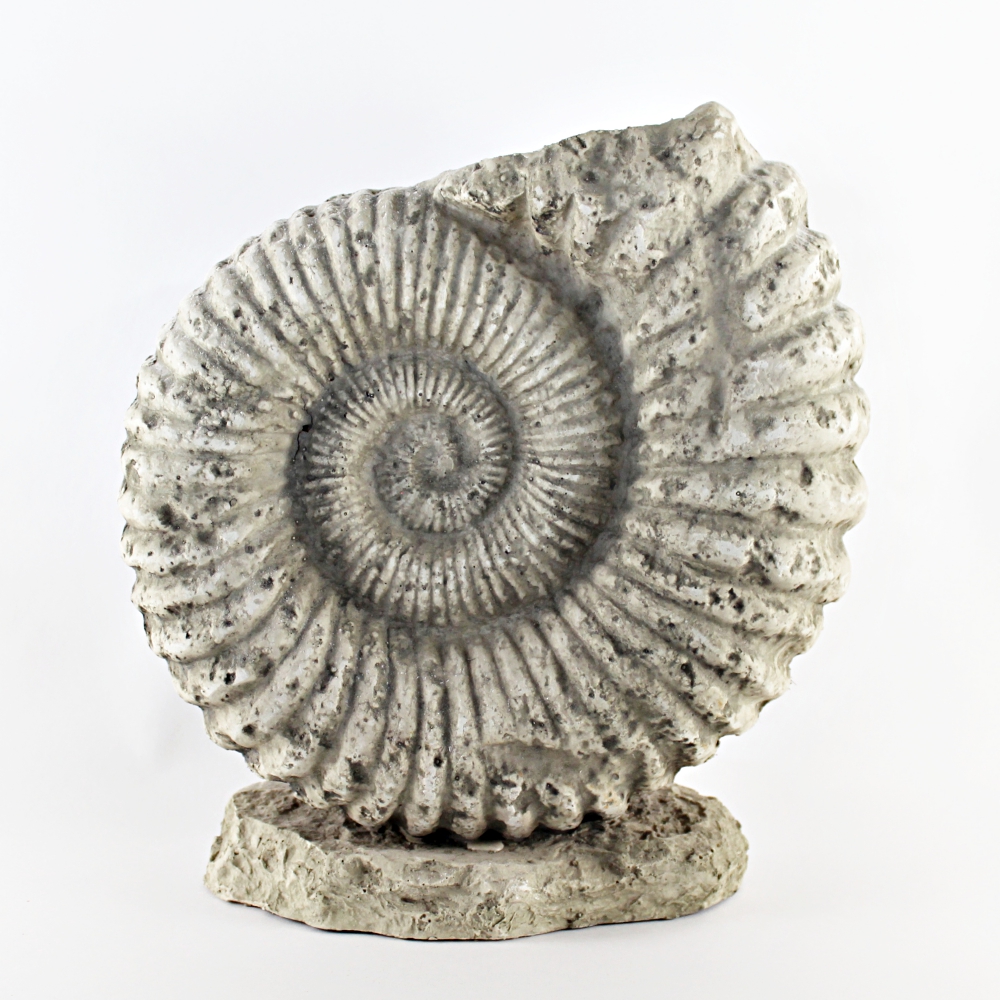 Synthetic Fossil Cast