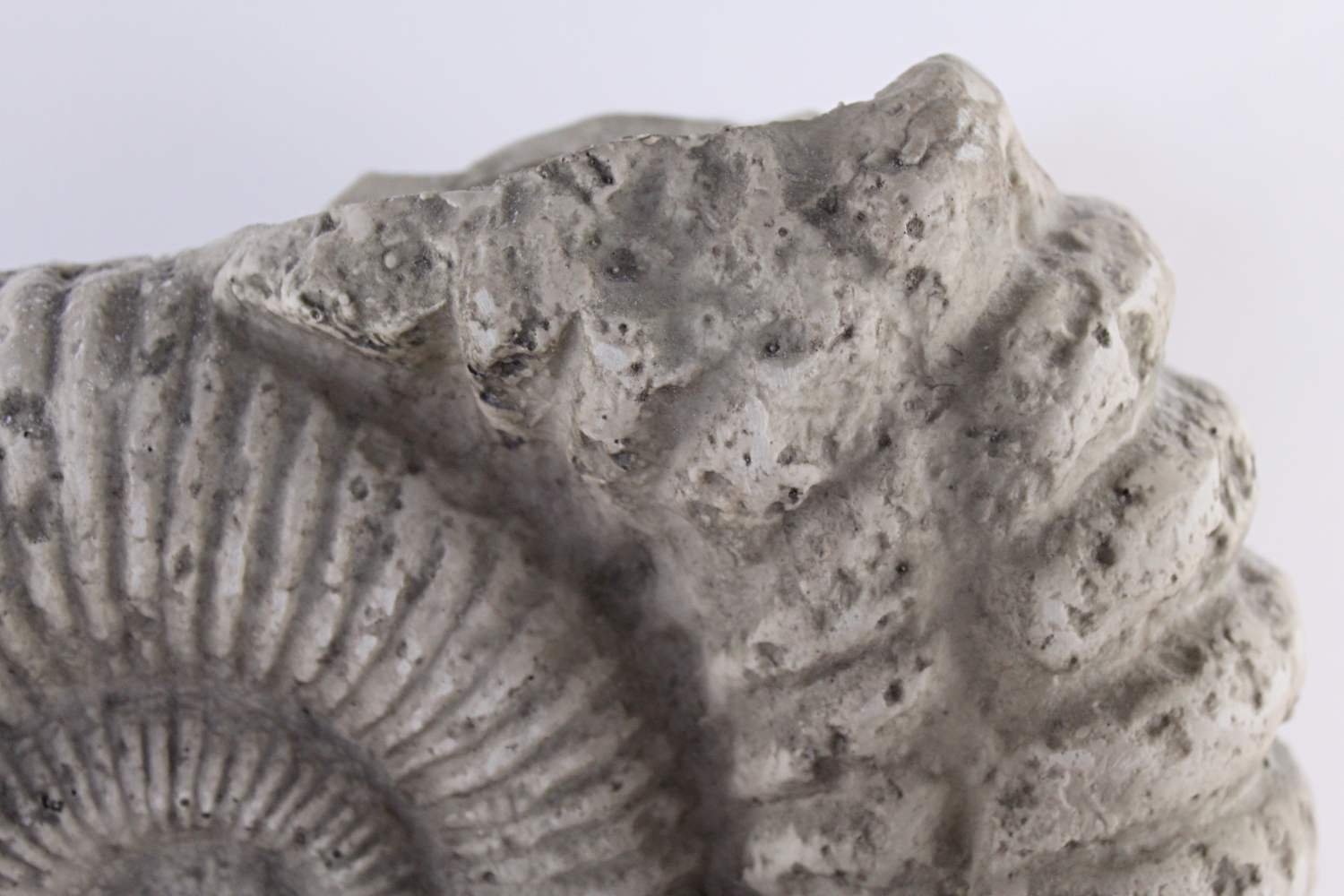 Synthetic Fossil Cast