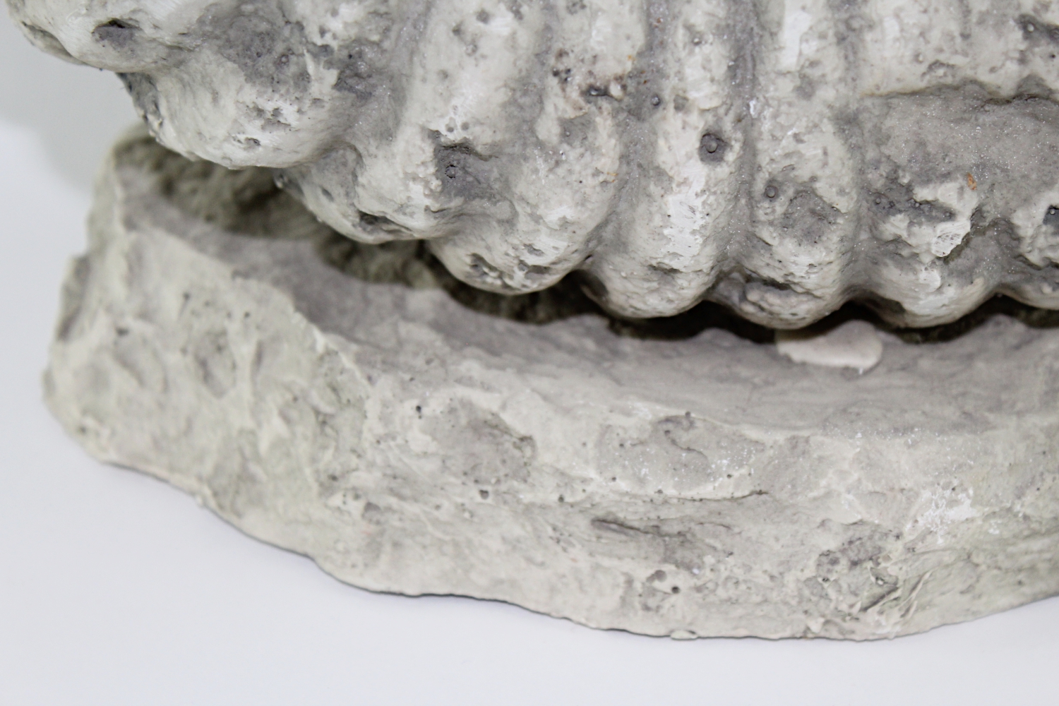 Synthetic Fossil Cast