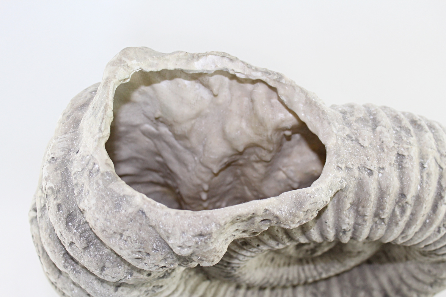 Synthetic Fossil Cast