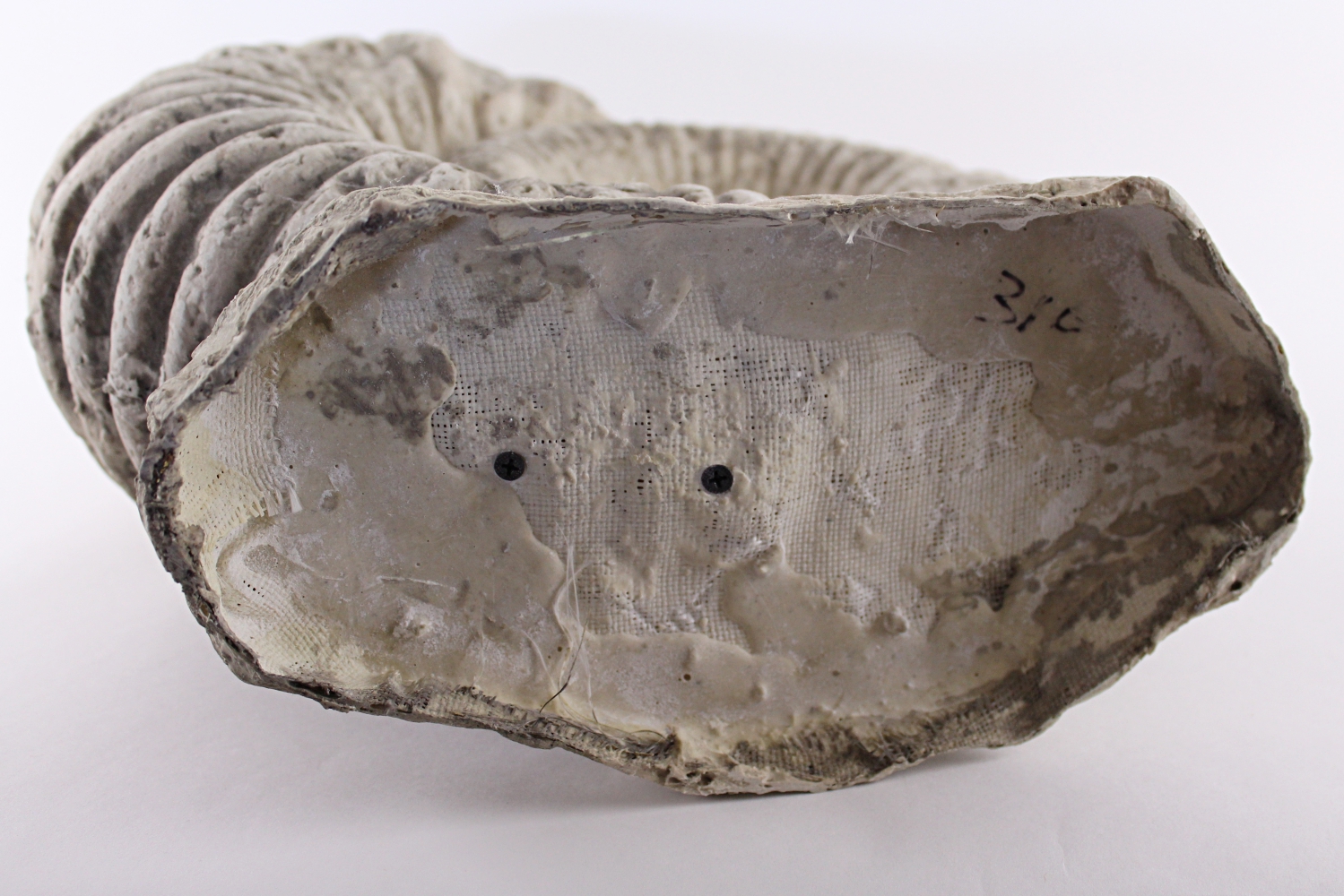 Synthetic Fossil Cast