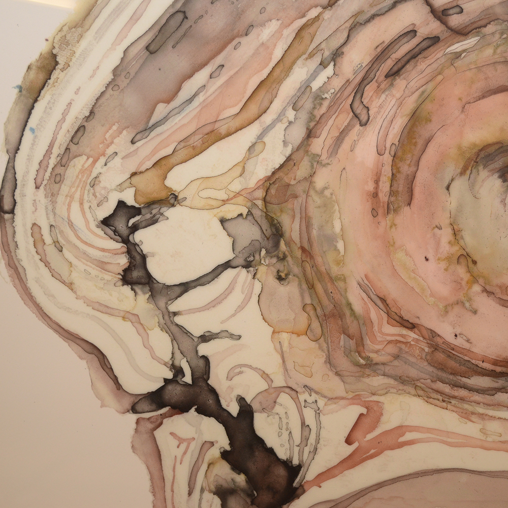 Framed Watercolor of a Tree Stump