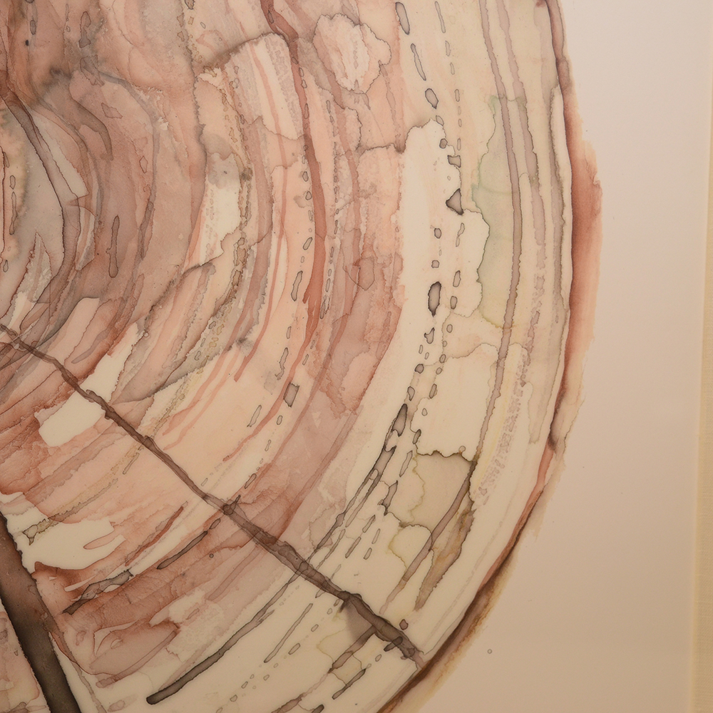 Framed Watercolor of a Tree Stump