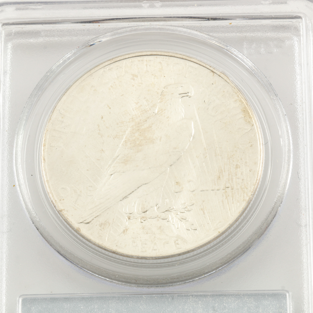 Encapsulated and Graded MS63 (By PCGS) 1925 Silver Peace Dollar