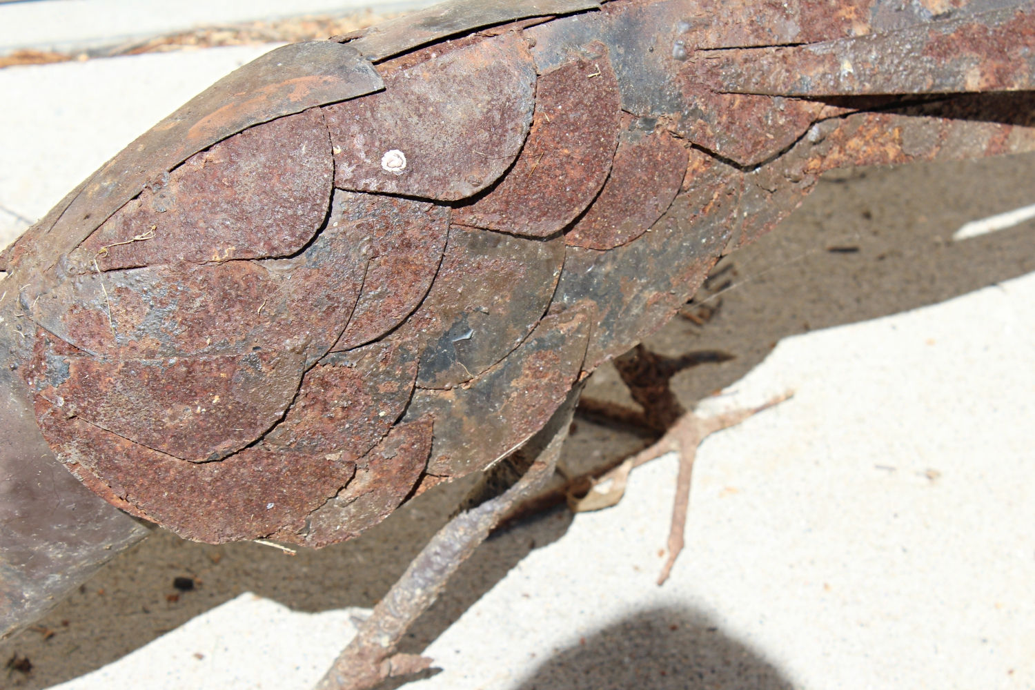 Peacock and Peahen Metal Sculptures