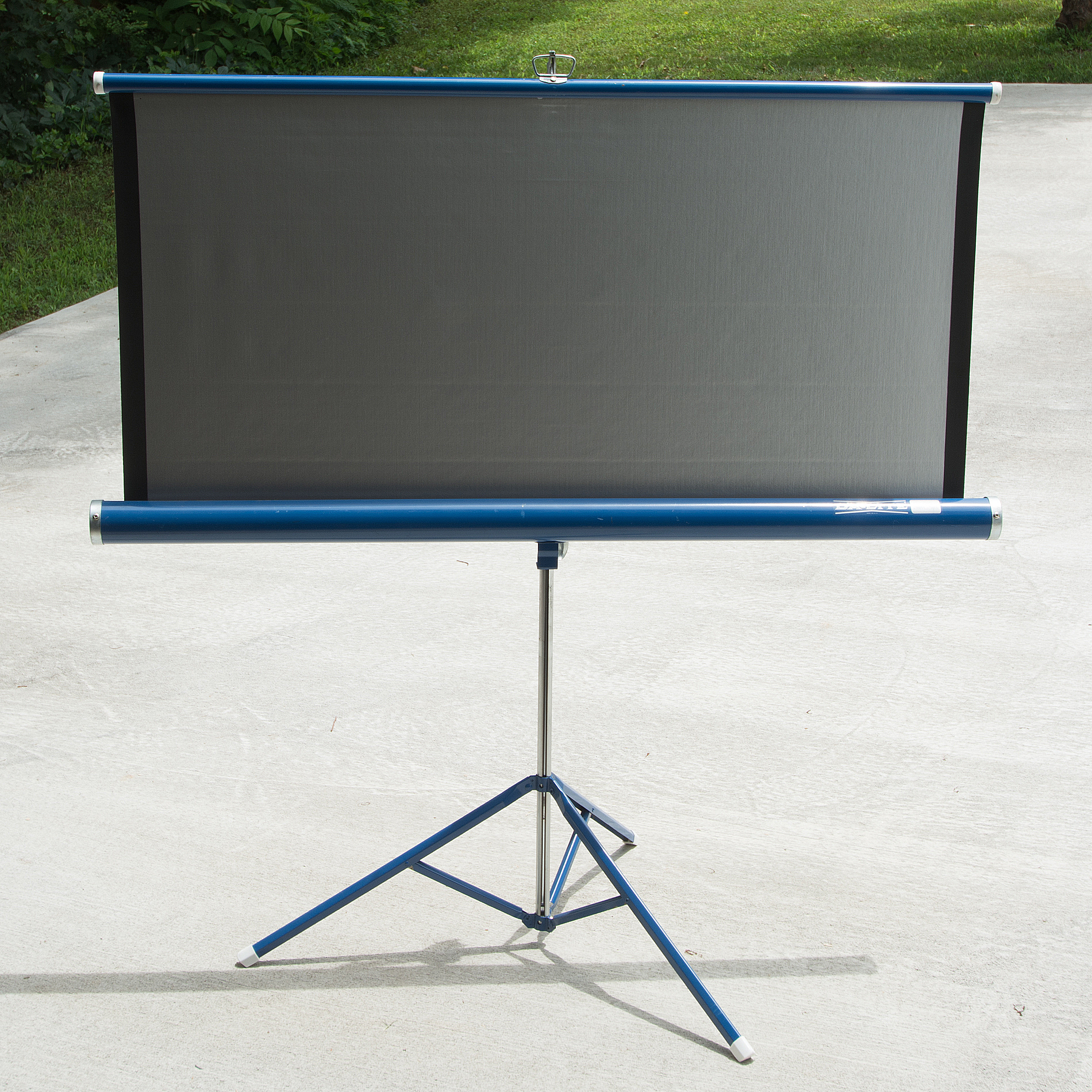 Da-Lite Silver Flyer Projection Screen