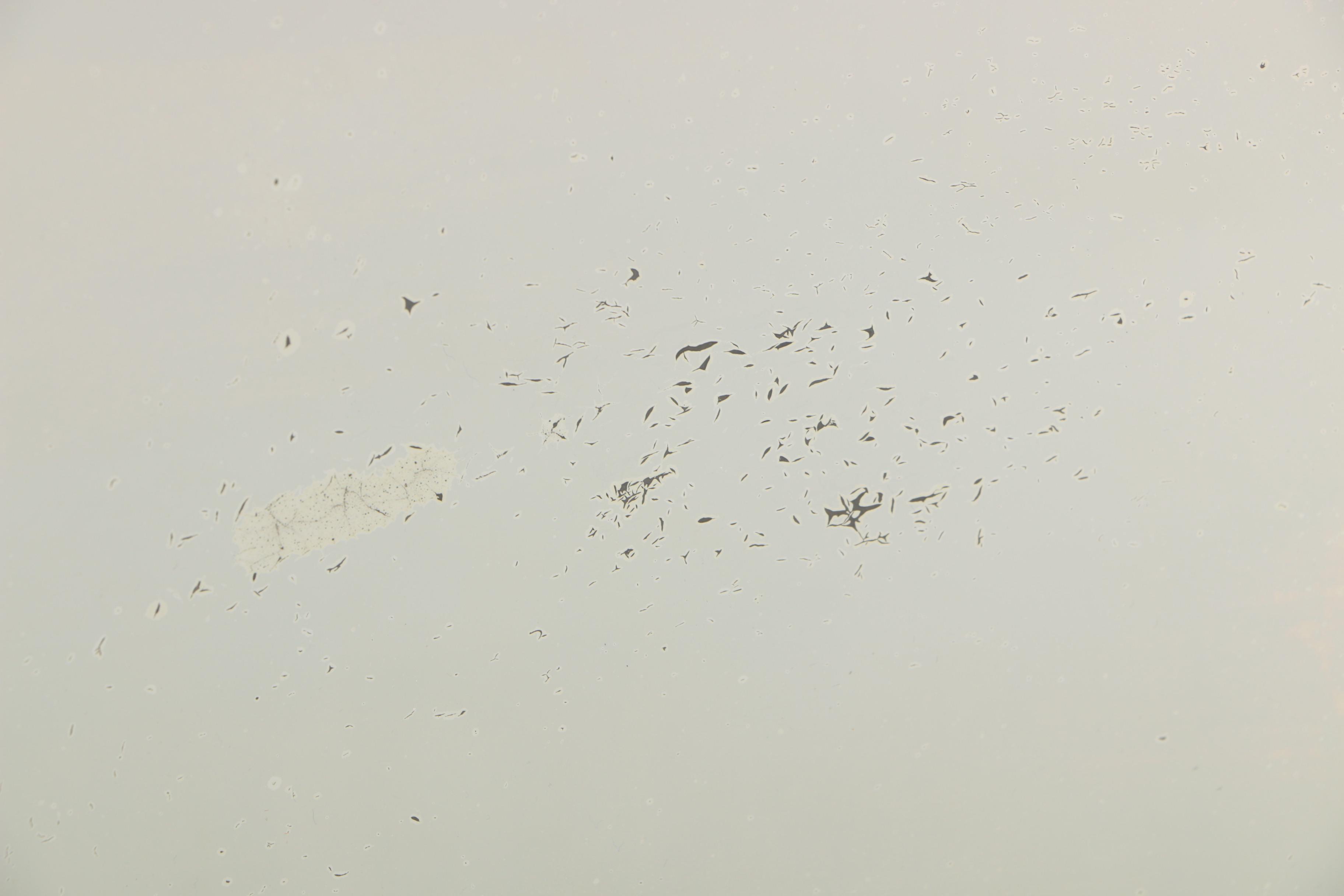 Wooden Framed Vanity Mirror