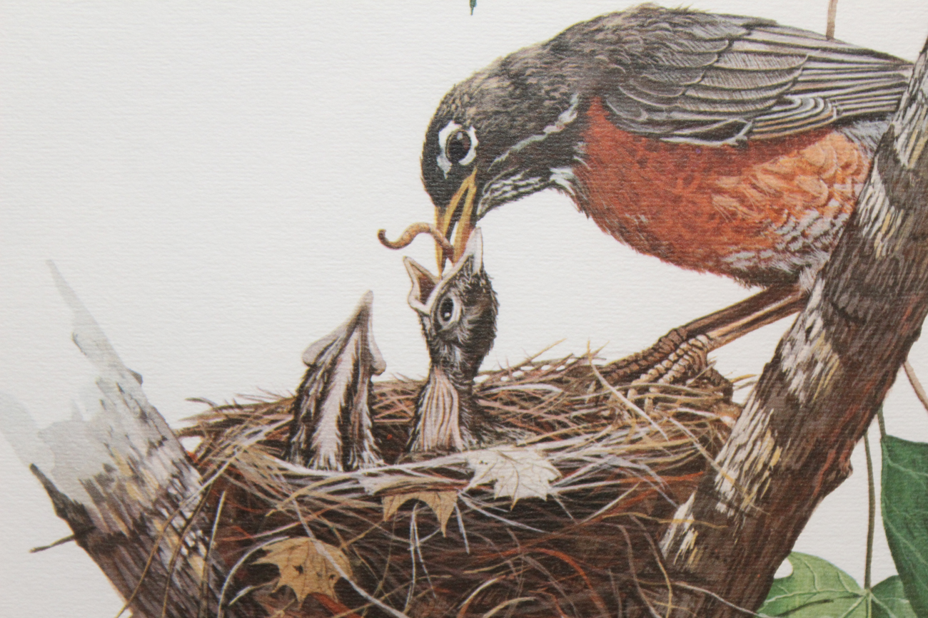 Don Balke Limited Edition Offset Lithograph "American Robin"