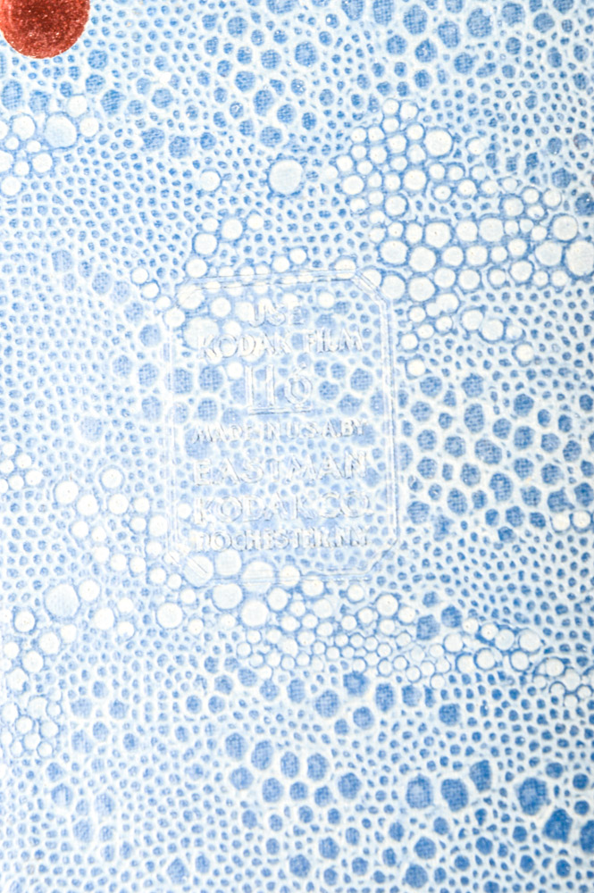 Vintage Box Camera Collection