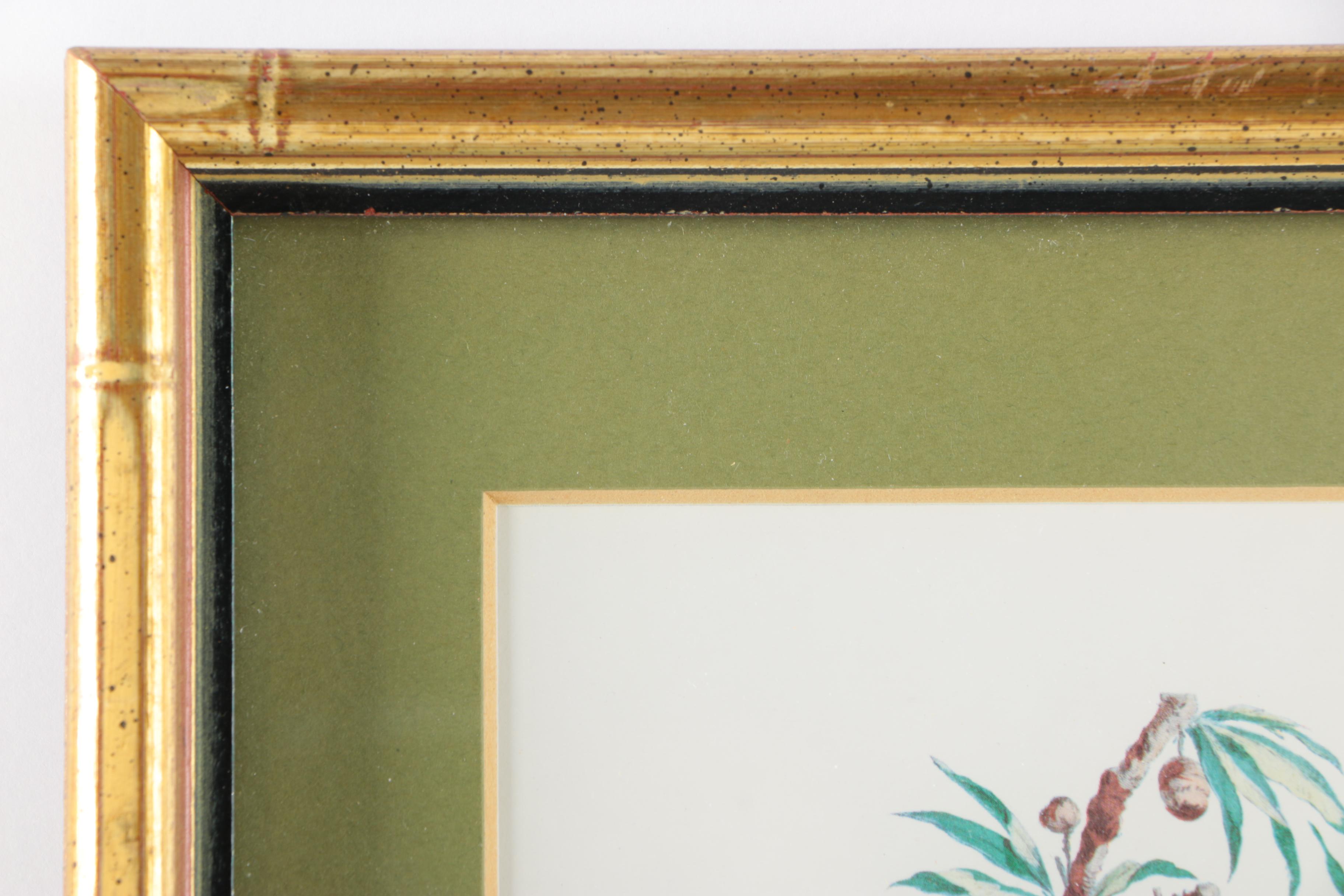 Pair of Framed Chinese Inspired Offset Lithographs
