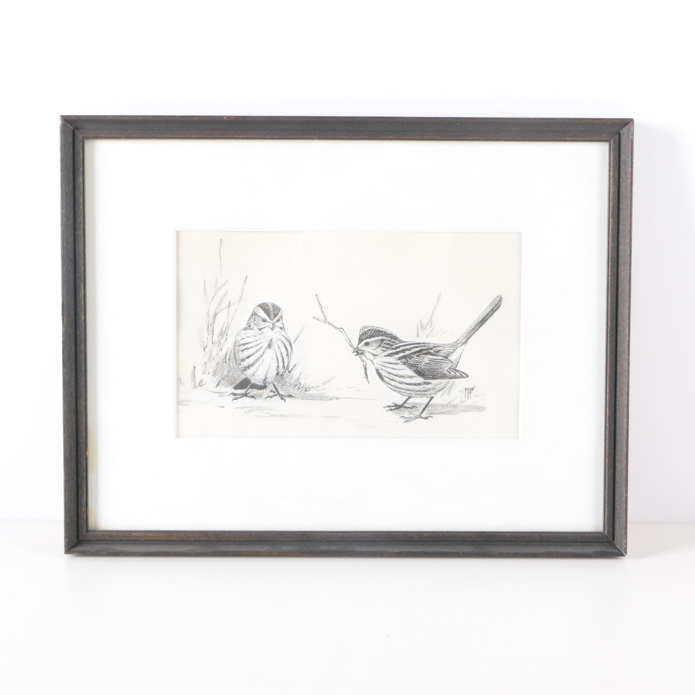 Roger Tory Peterson Ink Drawing "Song Sparrows"