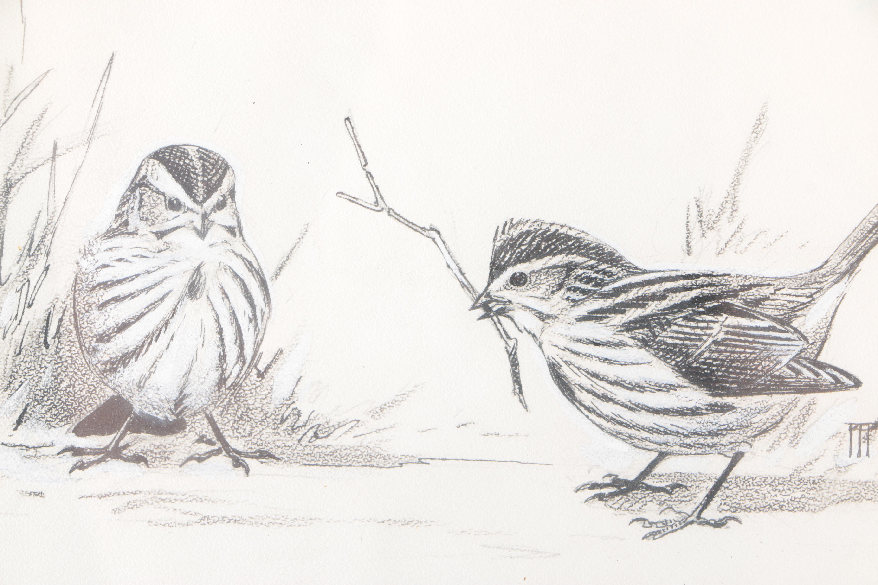Roger Tory Peterson Ink Drawing "Song Sparrows"