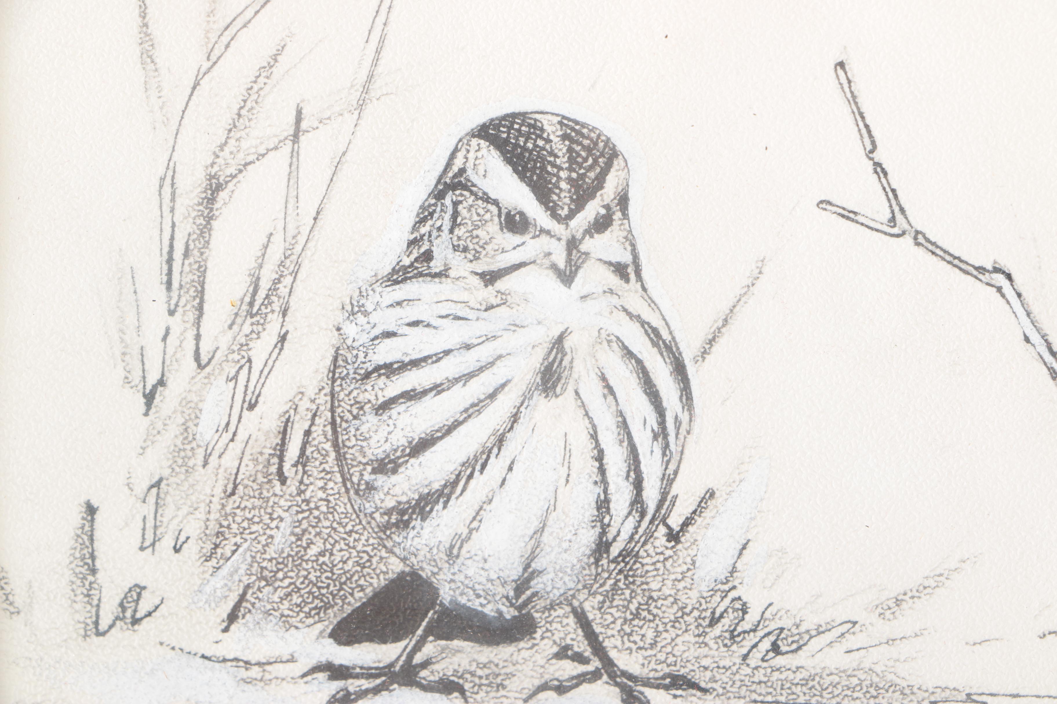 Roger Tory Peterson Ink Drawing "Song Sparrows"