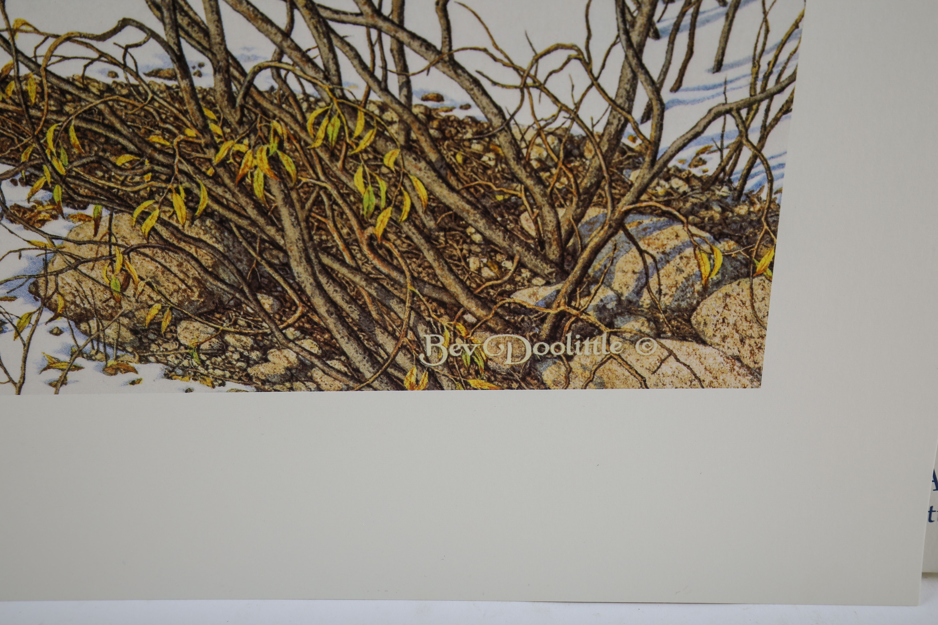 Signed Bev Doolittle Print "Eagle Heart"