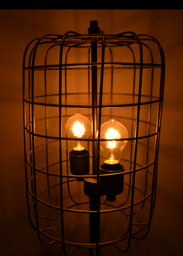 Industrial Style Floor Lamp