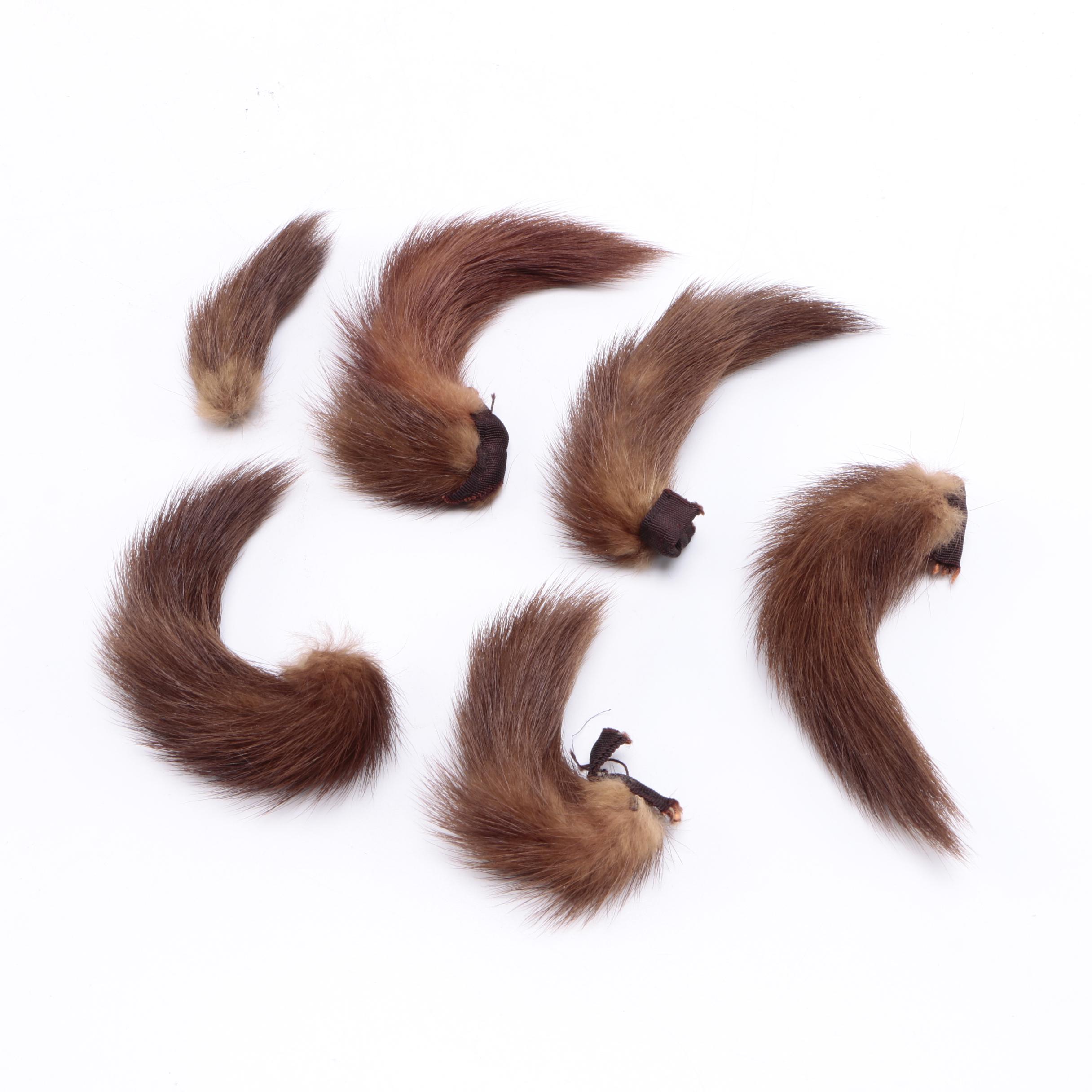 Mink Tails