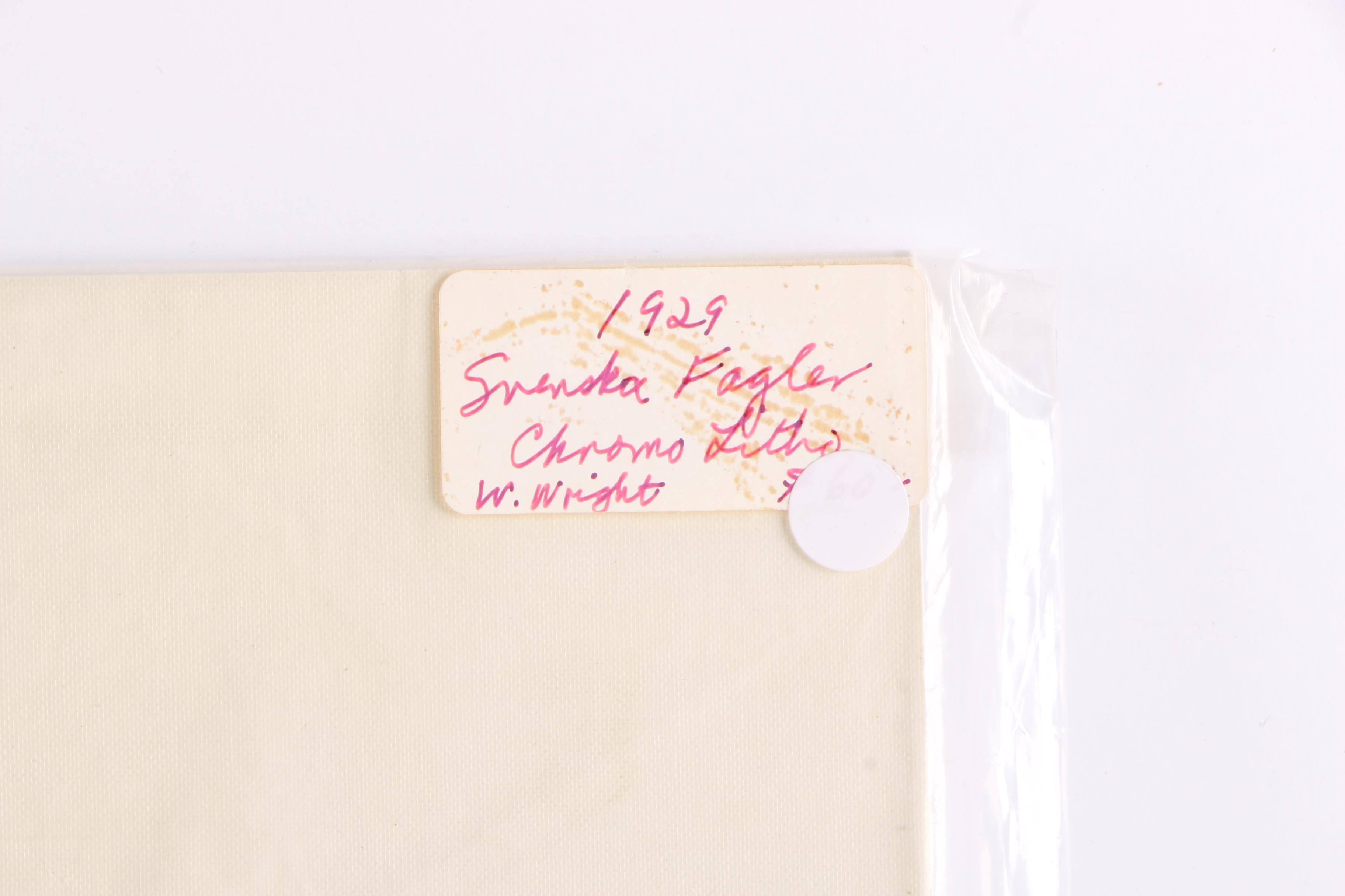 Chromolithographs of Swedish Birds From "Svenska Fåglar"