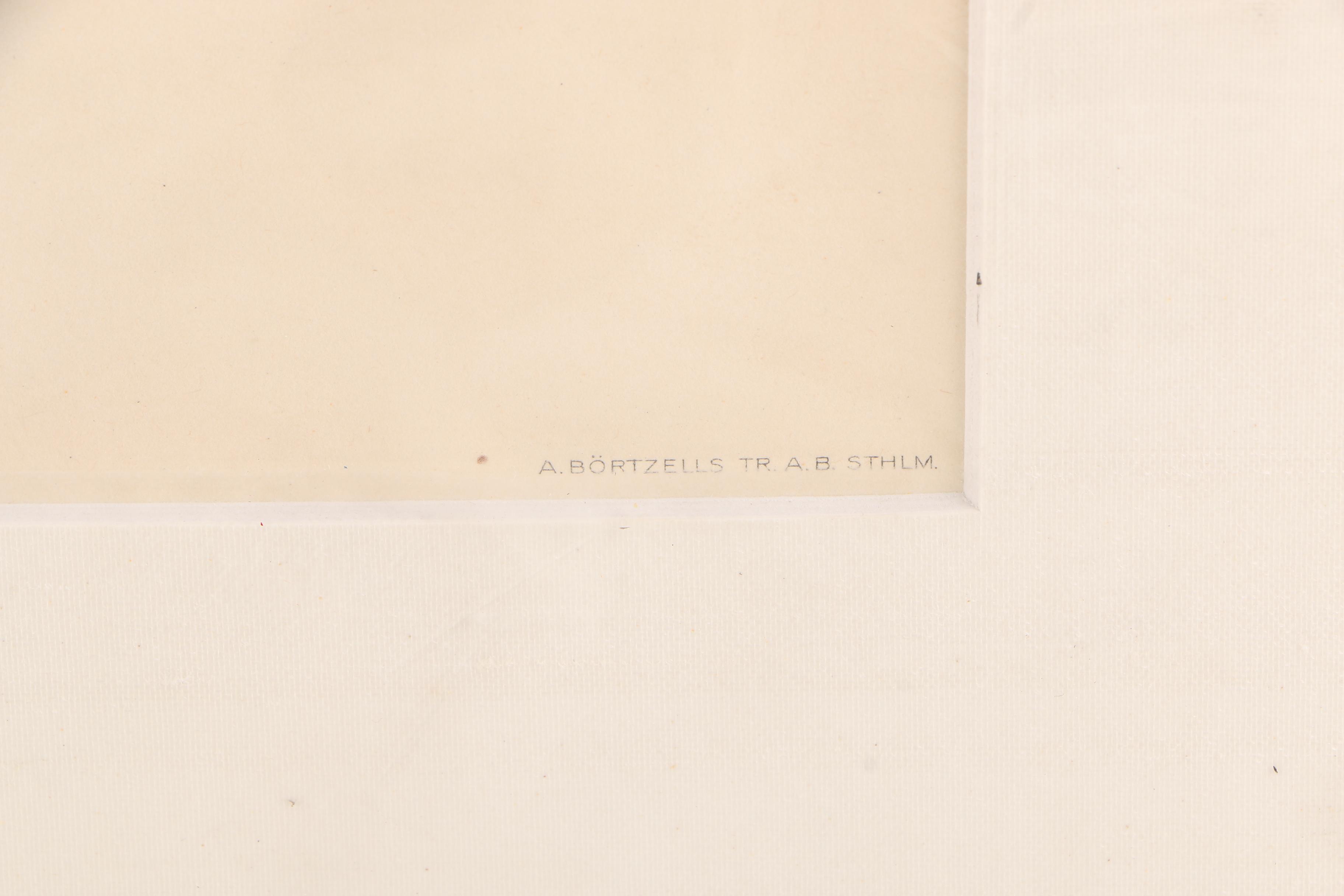 Chromolithographs of Swedish Birds From "Svenska Fåglar"