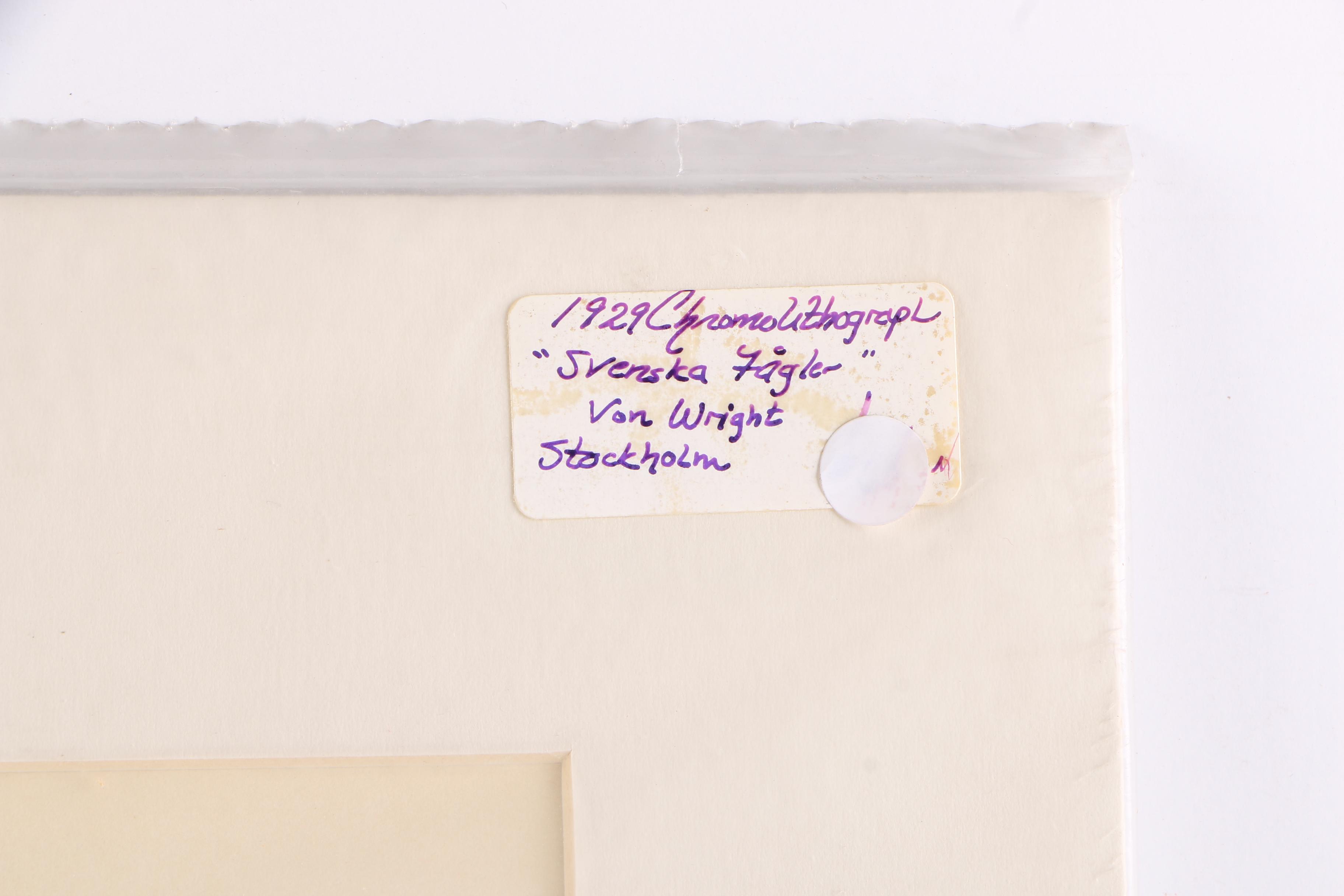 Chromolithographs of Swedish Birds From "Svenska Fåglar"