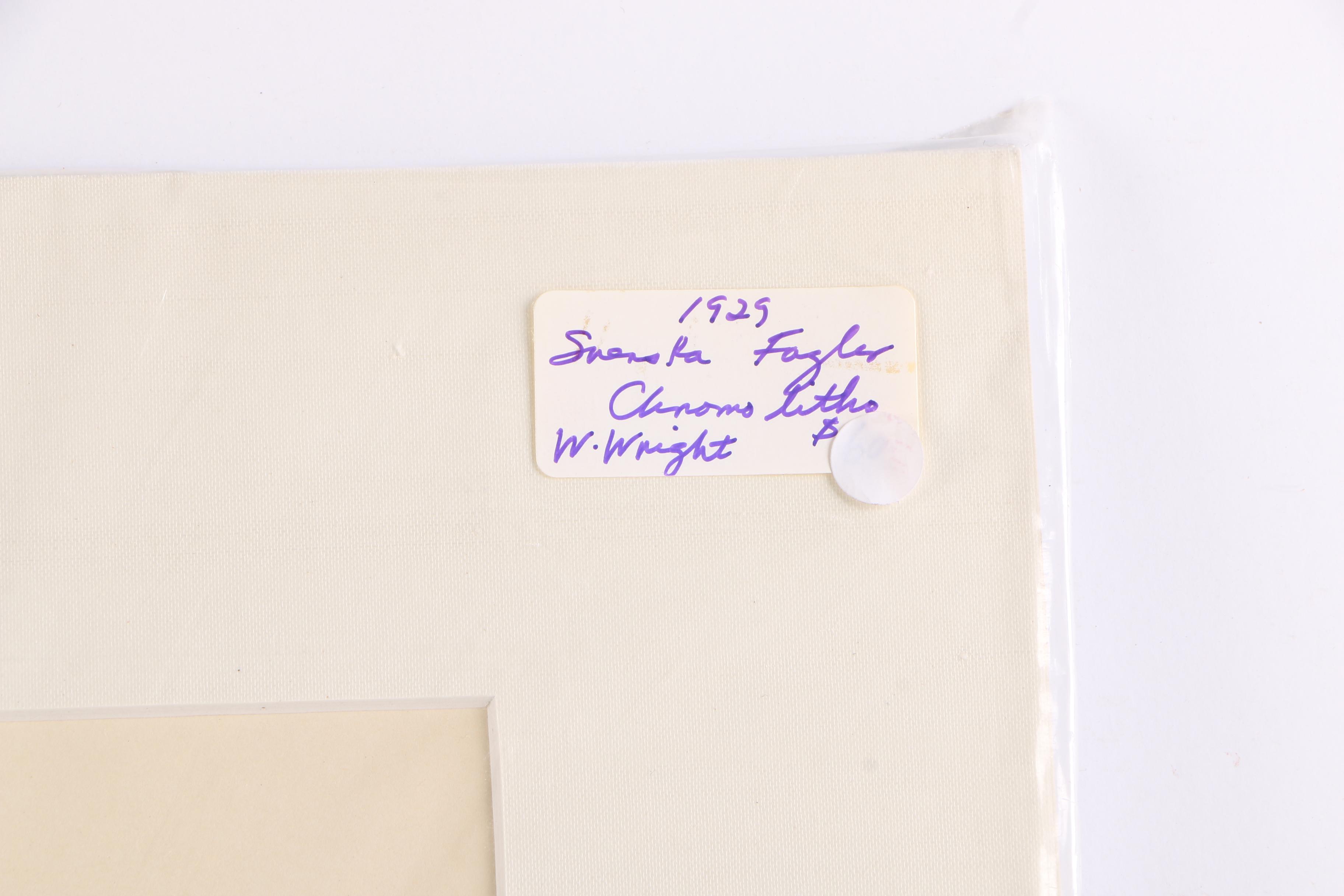 Chromolithographs of Swedish Birds From "Svenska Fåglar"