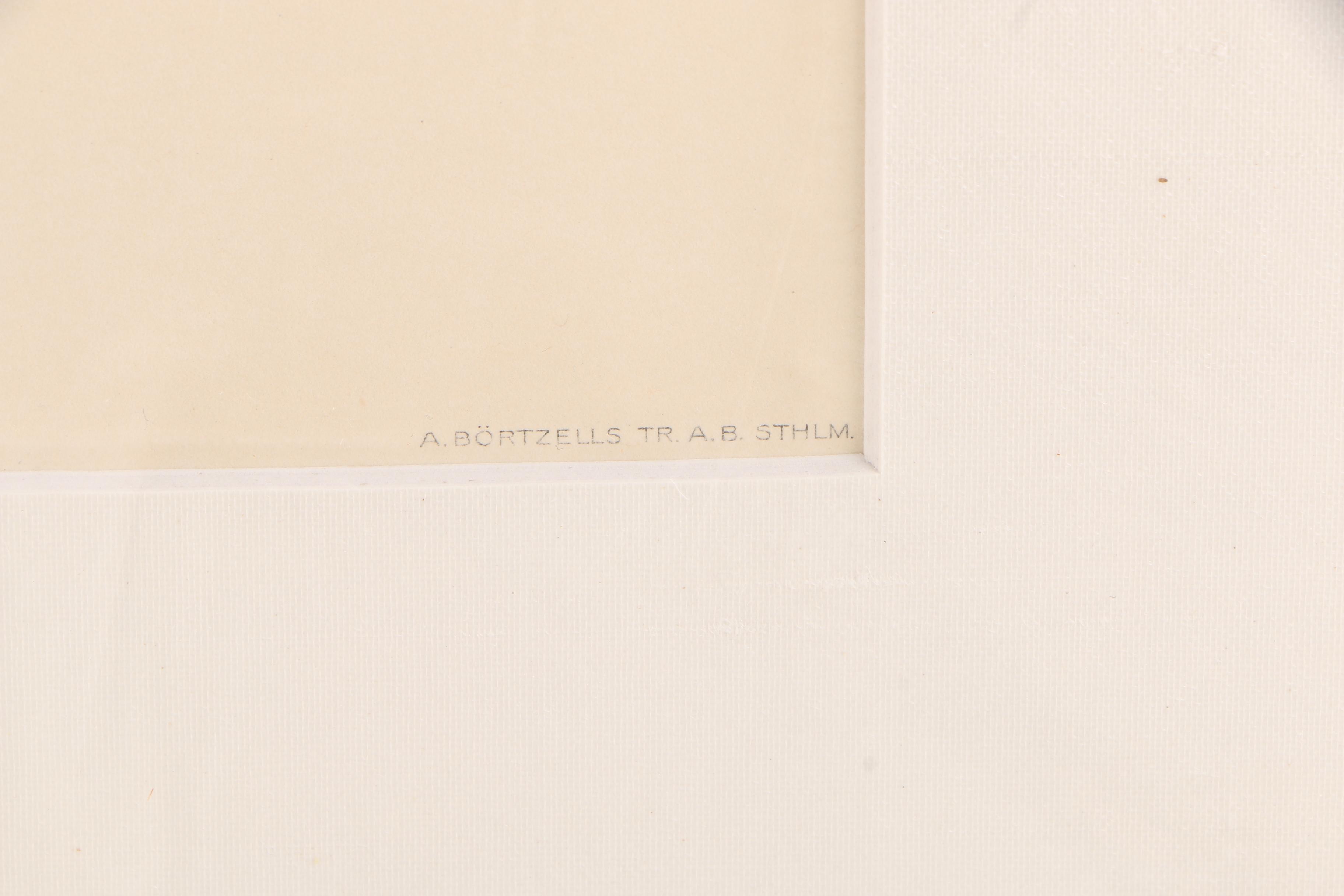 Chromolithographs of Swedish Birds From "Svenska Fåglar"