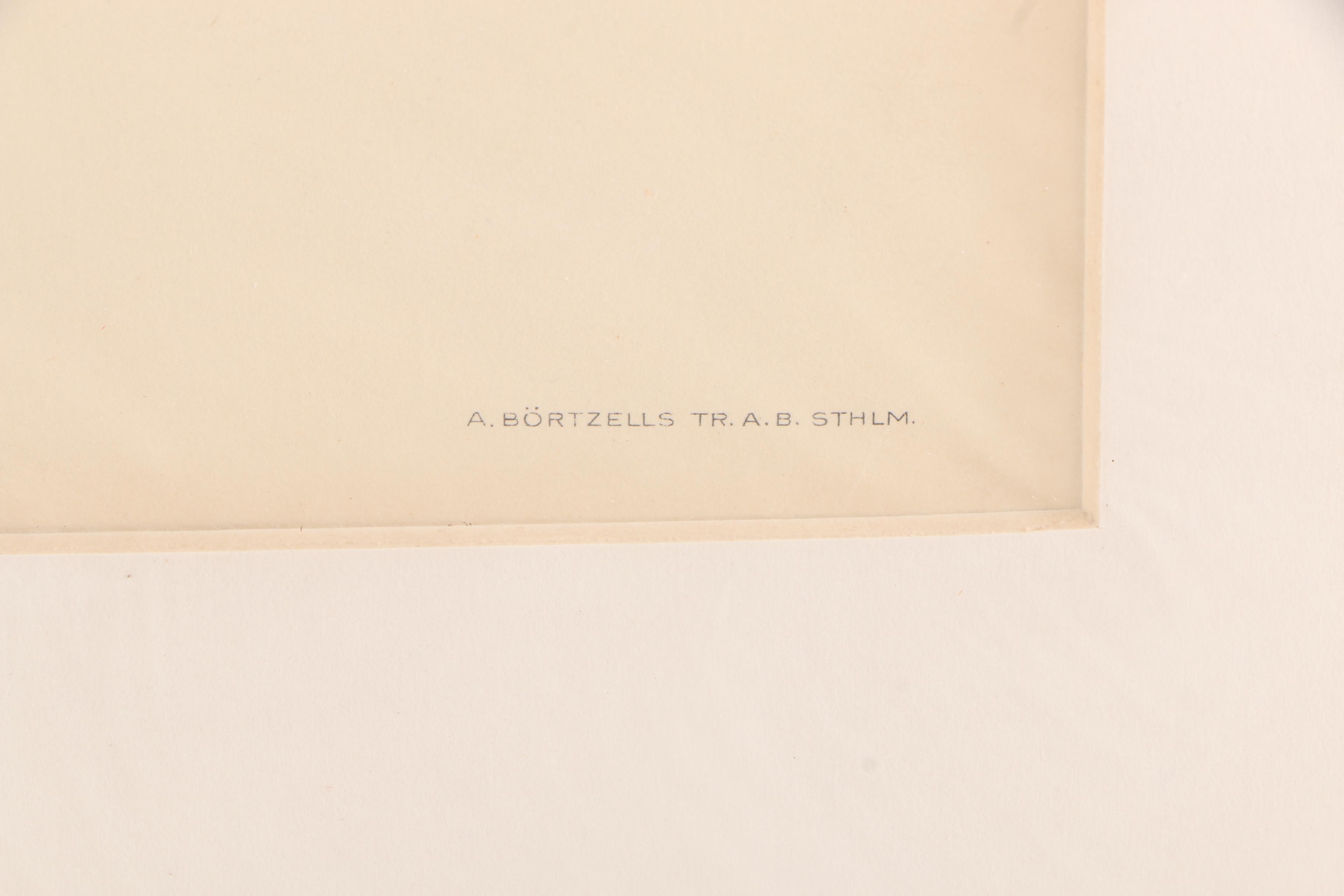 Chromolithographs of Swedish Birds From "Svenska Fåglar"