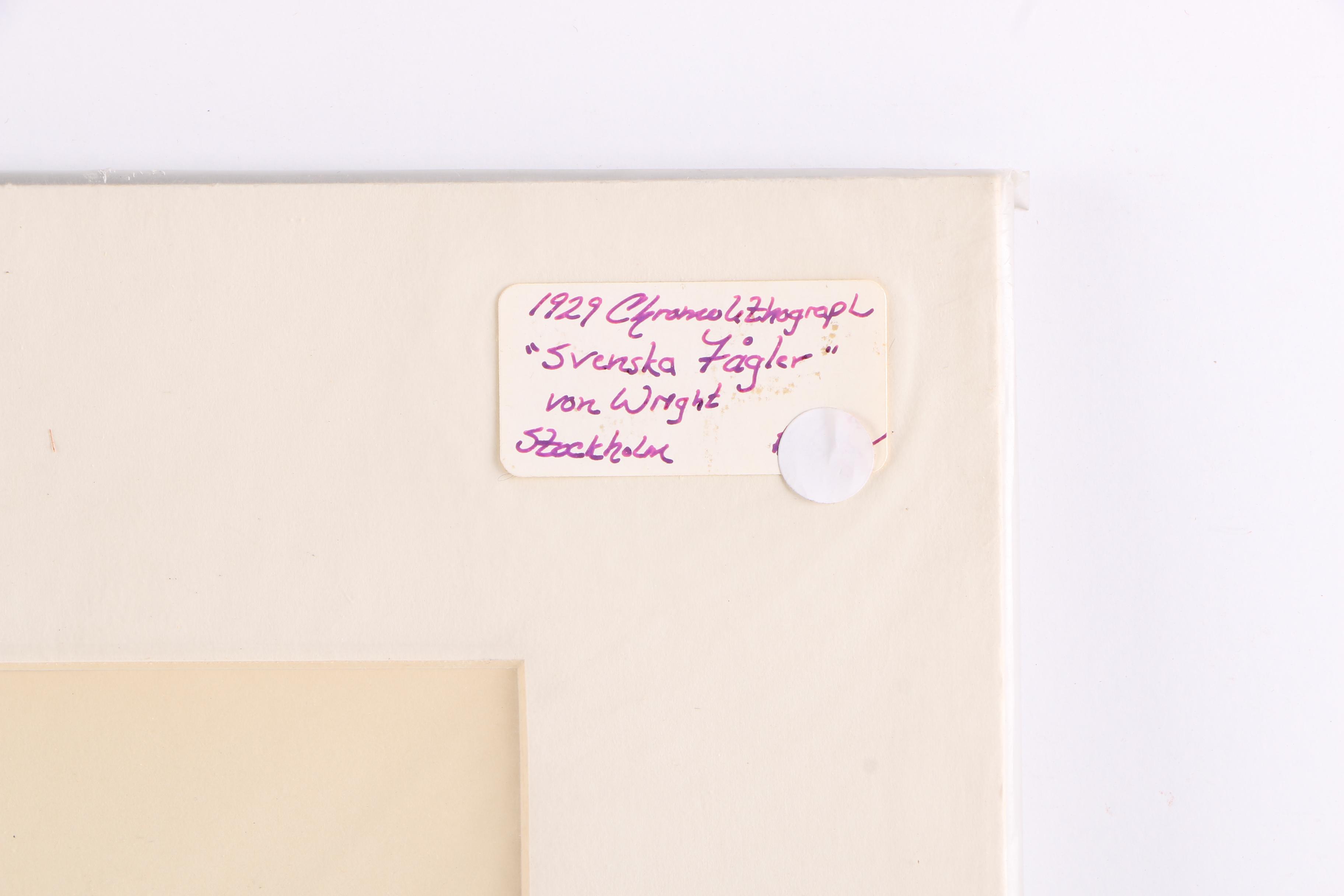 Chromolithographs of Swedish Birds From "Svenska Fåglar"