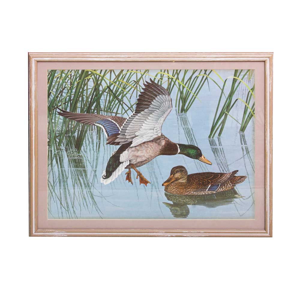 Robert Kusserow Offset Lithograph of Ducks