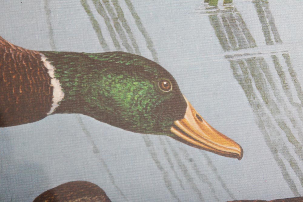 Robert Kusserow Offset Lithograph of Ducks