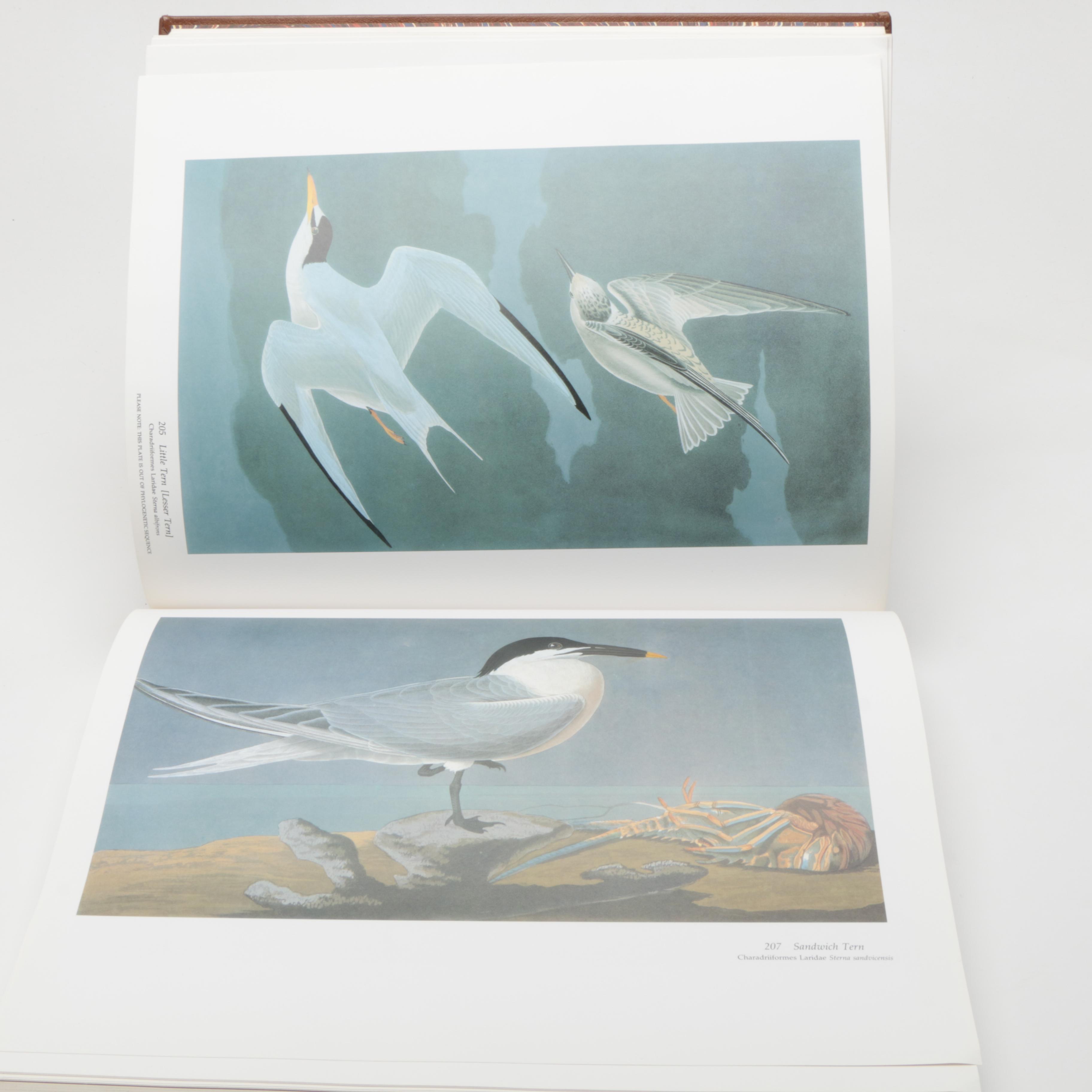 Roger and Virginia Peterson Limited Edition "John James Audubon's Birds of American"