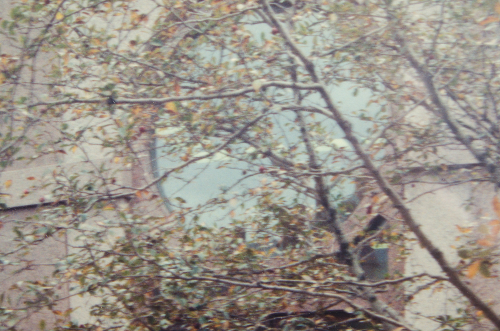 Panoramic Photographic Print "Smithsonian Castle"