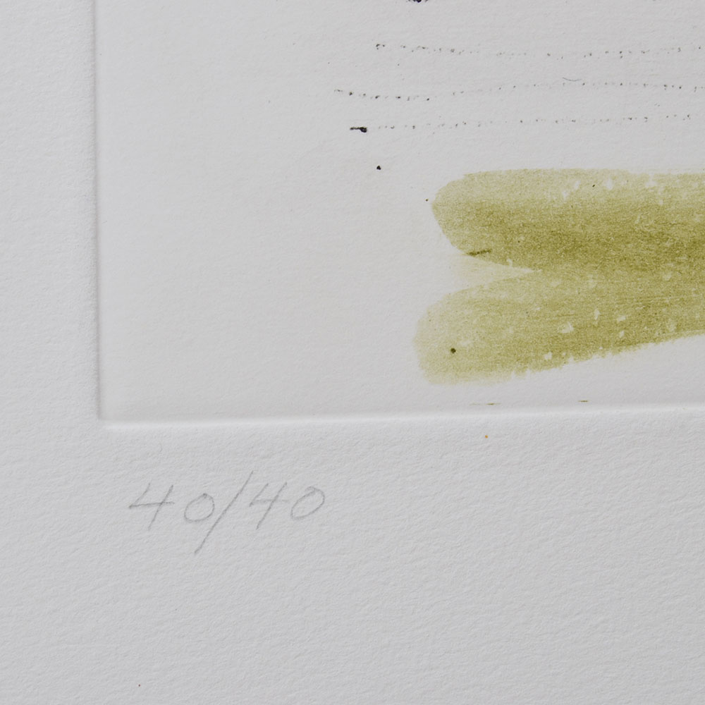 Anne Poor Signed Limited Edition Etching "Fragments of the Sanctuary - Delos"