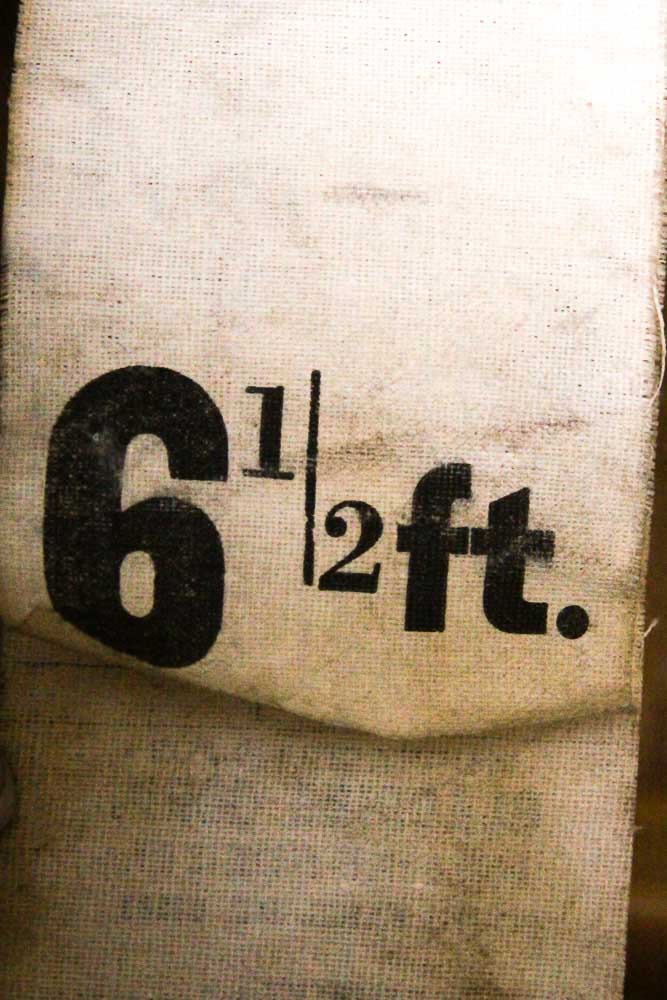 Toboggan by Gladding