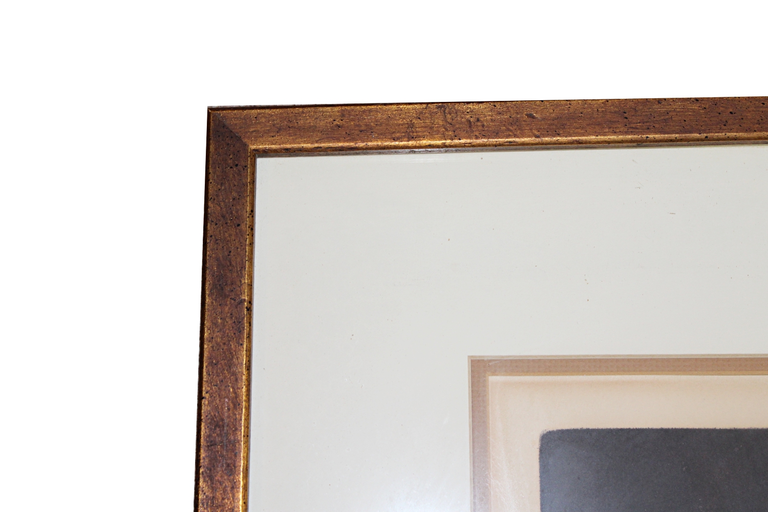 R.S. Riddick Limited Edition Etching "And Beasts of the Field"