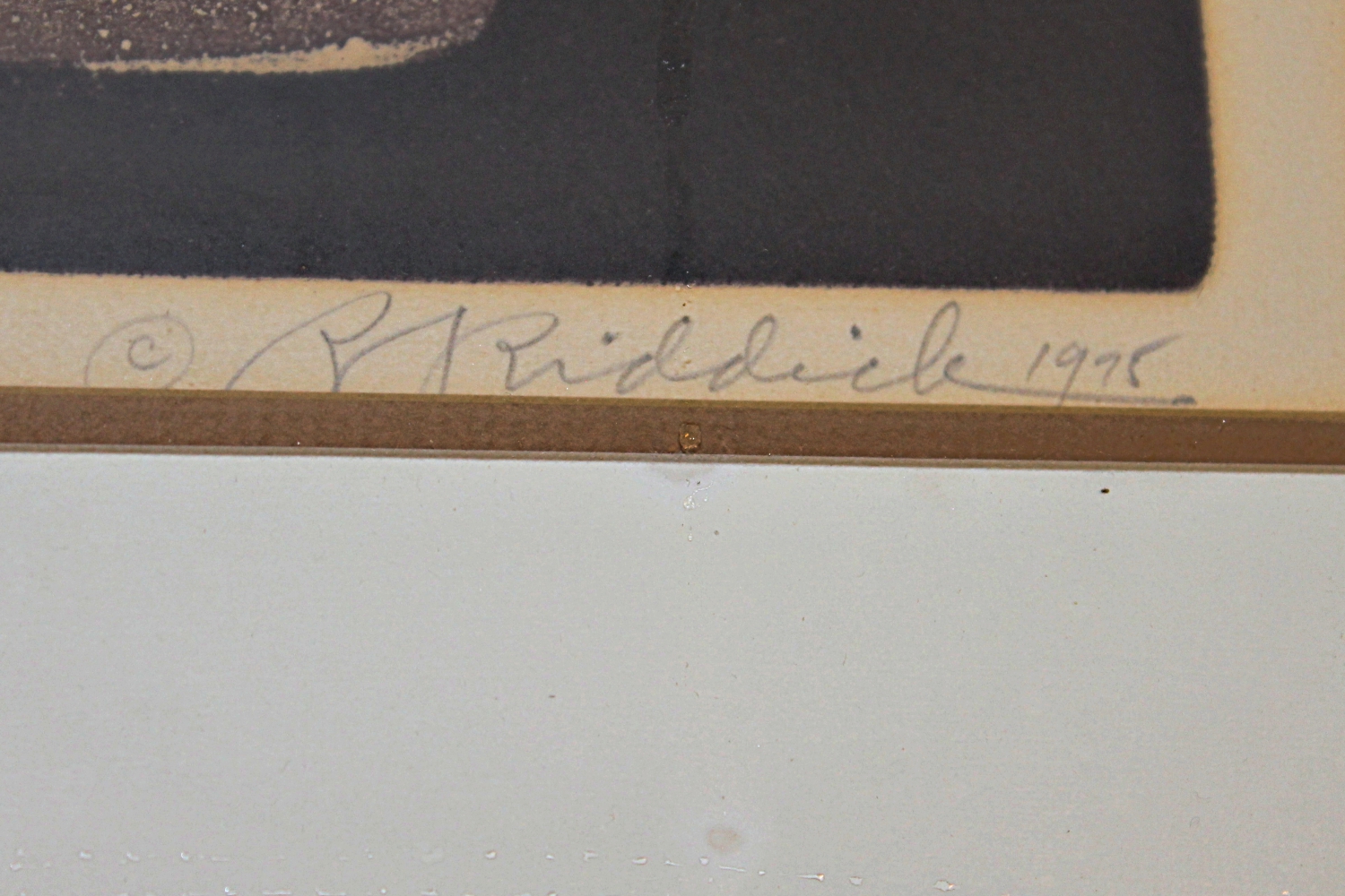 R.S. Riddick Limited Edition Etching "And Beasts of the Field"