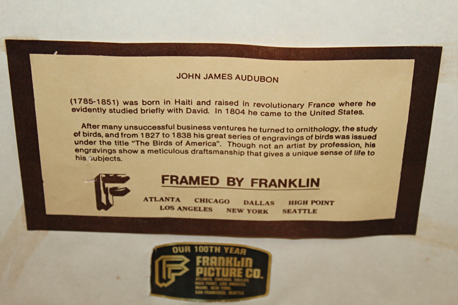 Offset Lithograph After Audubon's "Canada Goose"