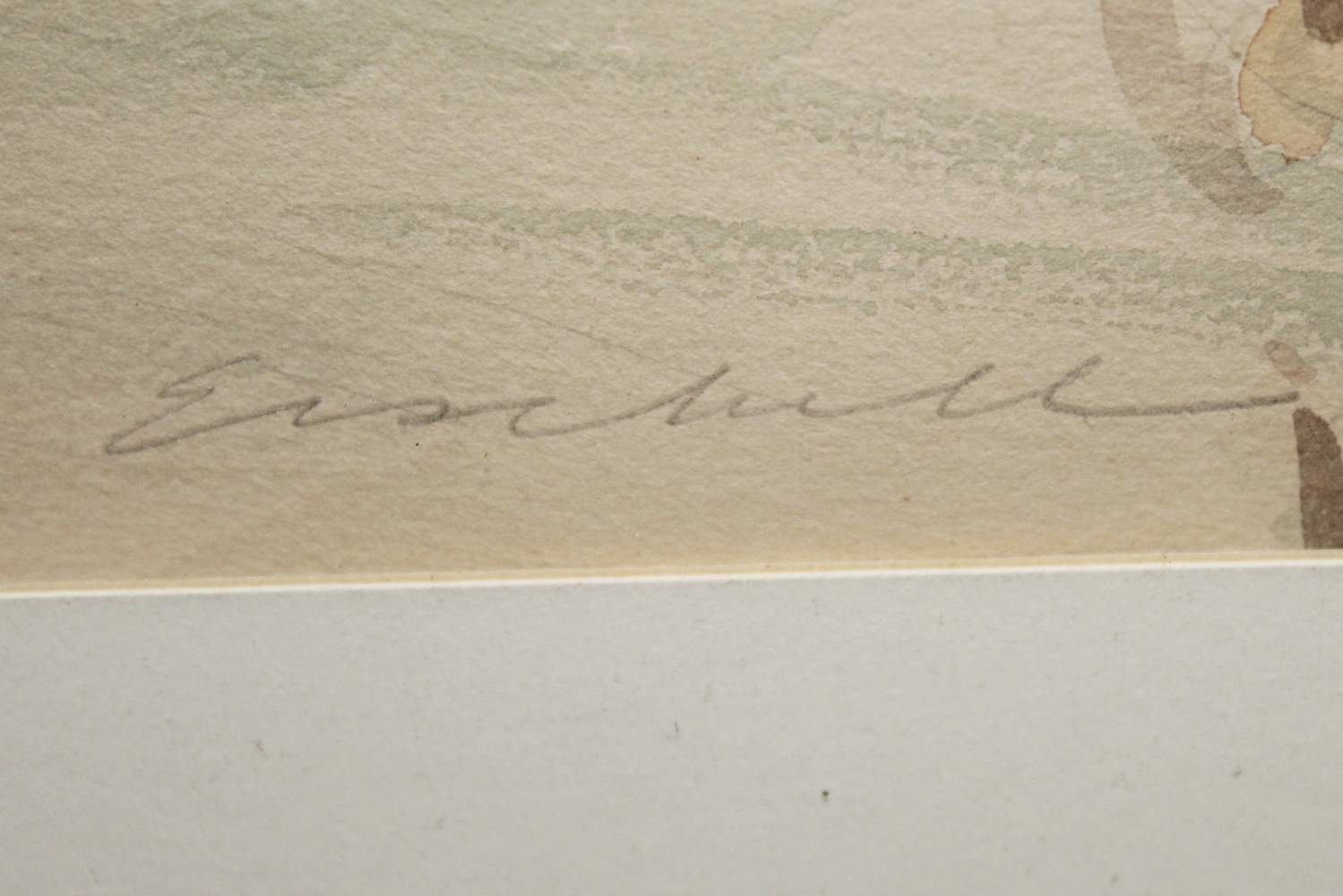 Beverly Erschell Original Watercolor