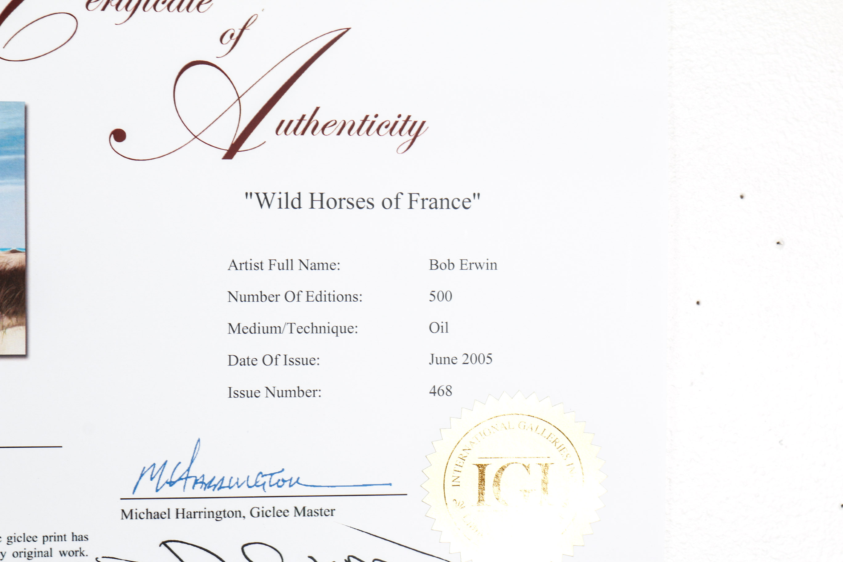 Unframed "Wild Horses of France" Giclee