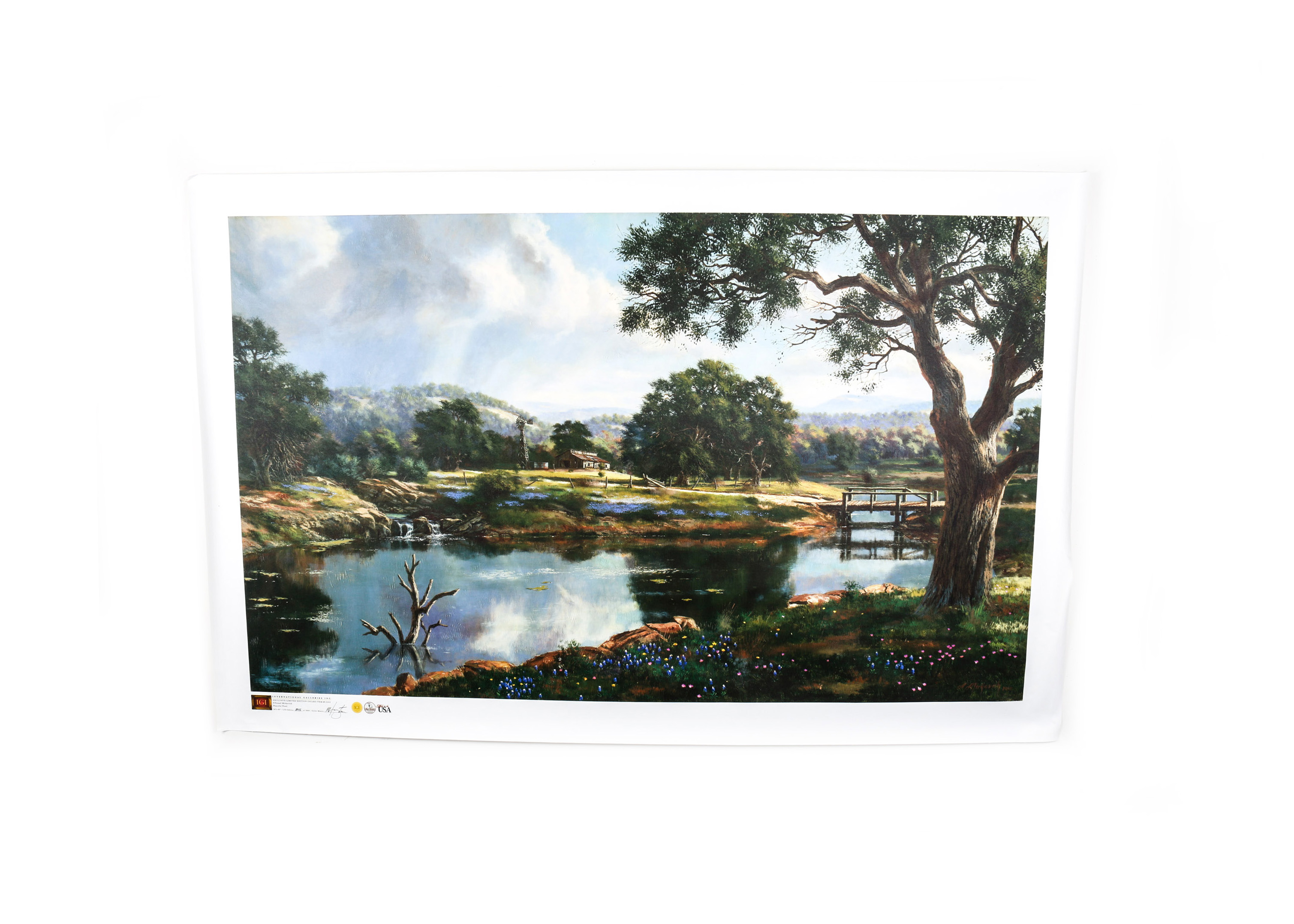 Unframed "Peaceful Pond" Giclee