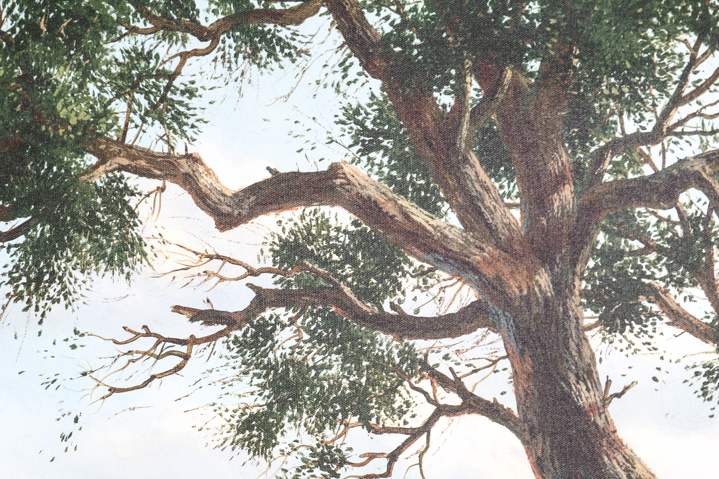 Unframed "Peaceful Pond" Giclee