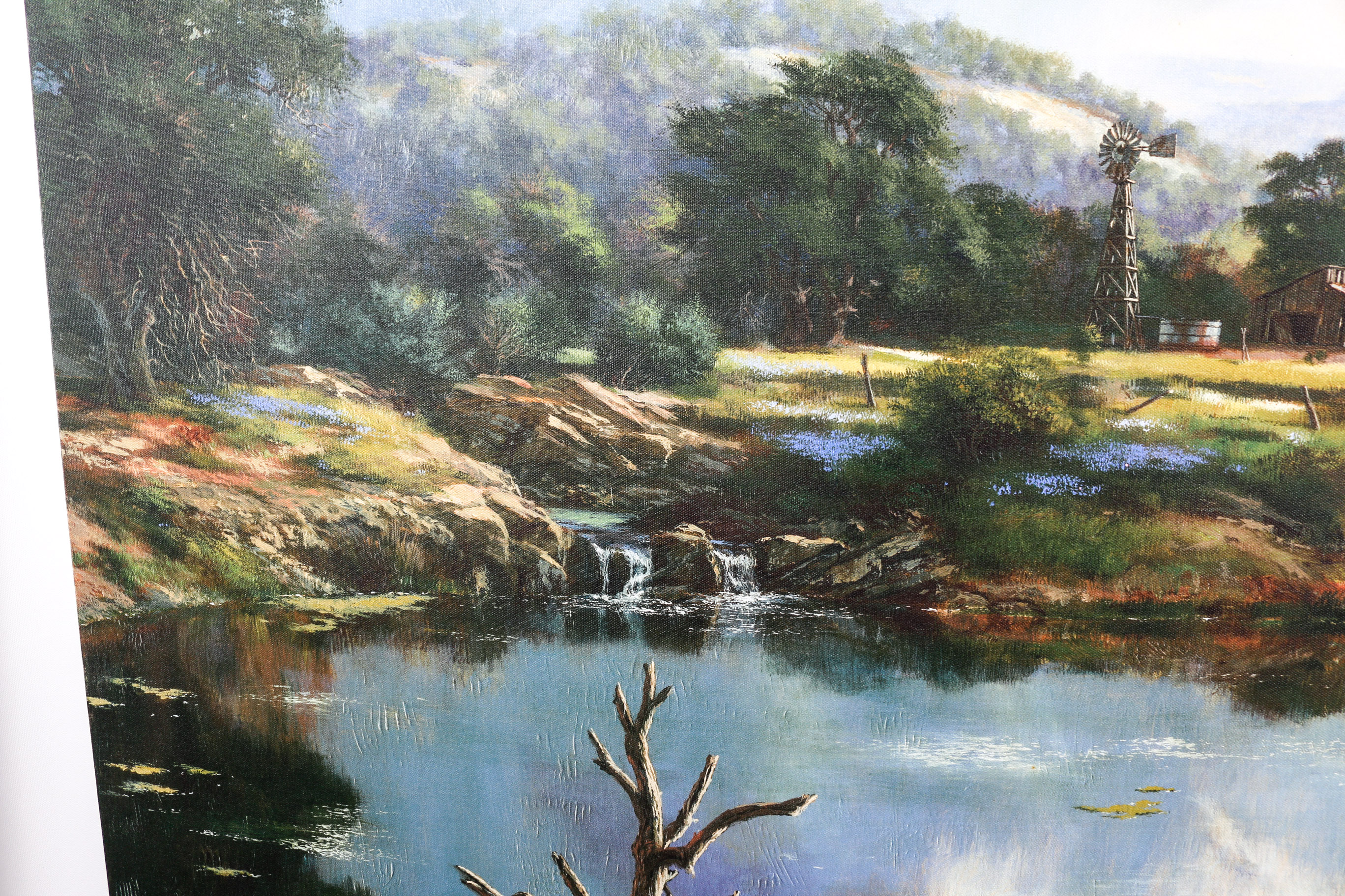 Unframed "Peaceful Pond" Giclee