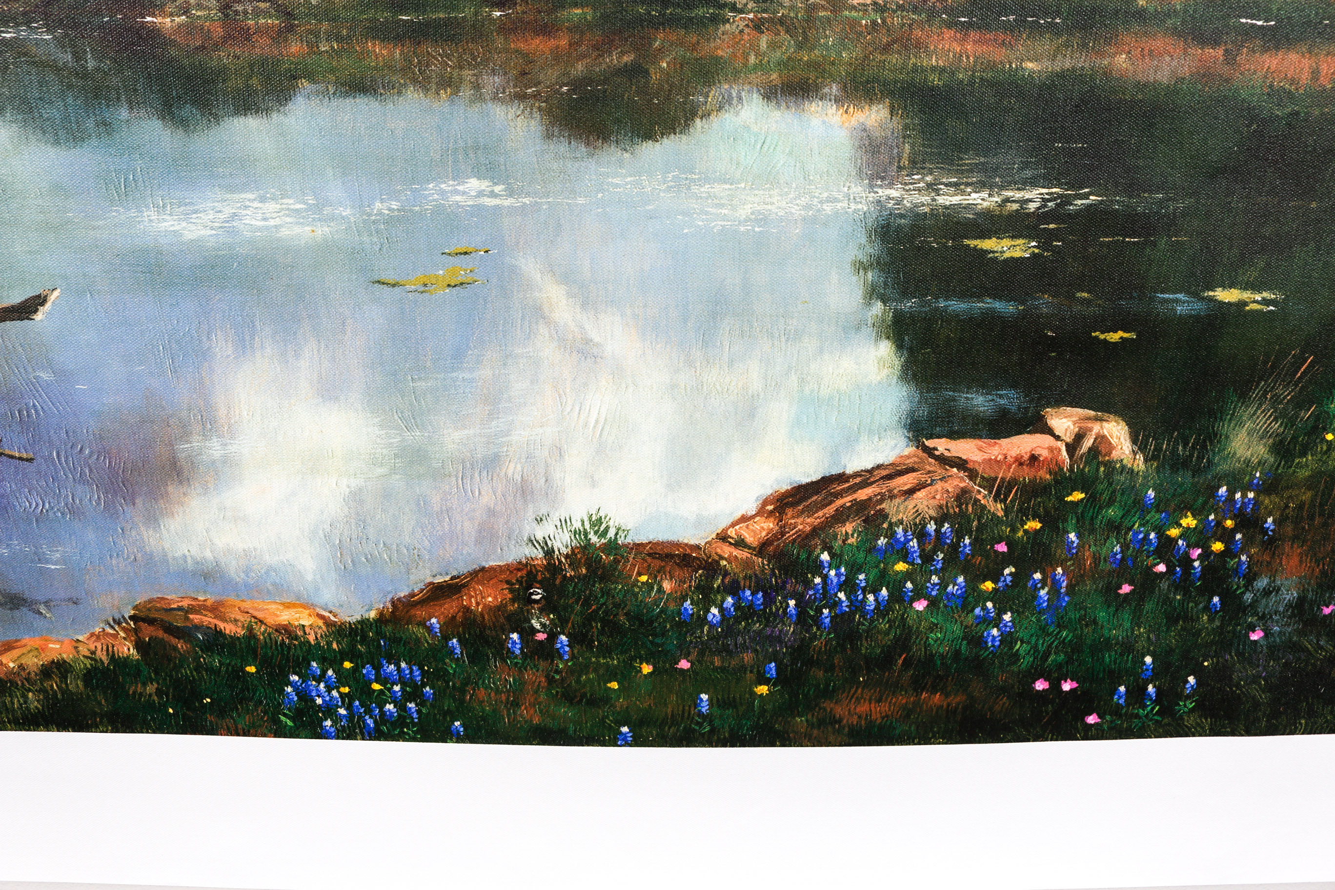 Unframed "Peaceful Pond" Giclee