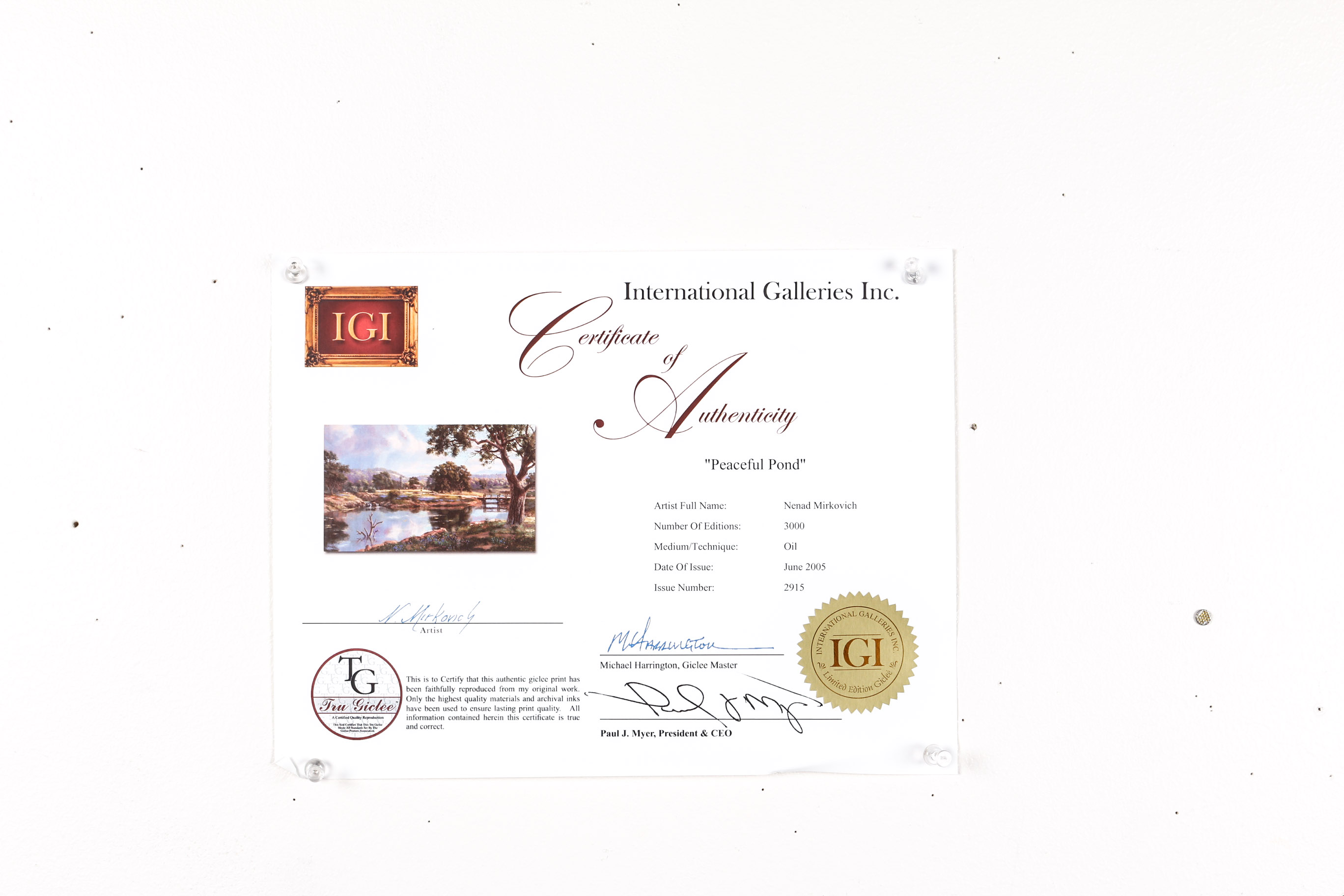 Unframed "Peaceful Pond" Giclee