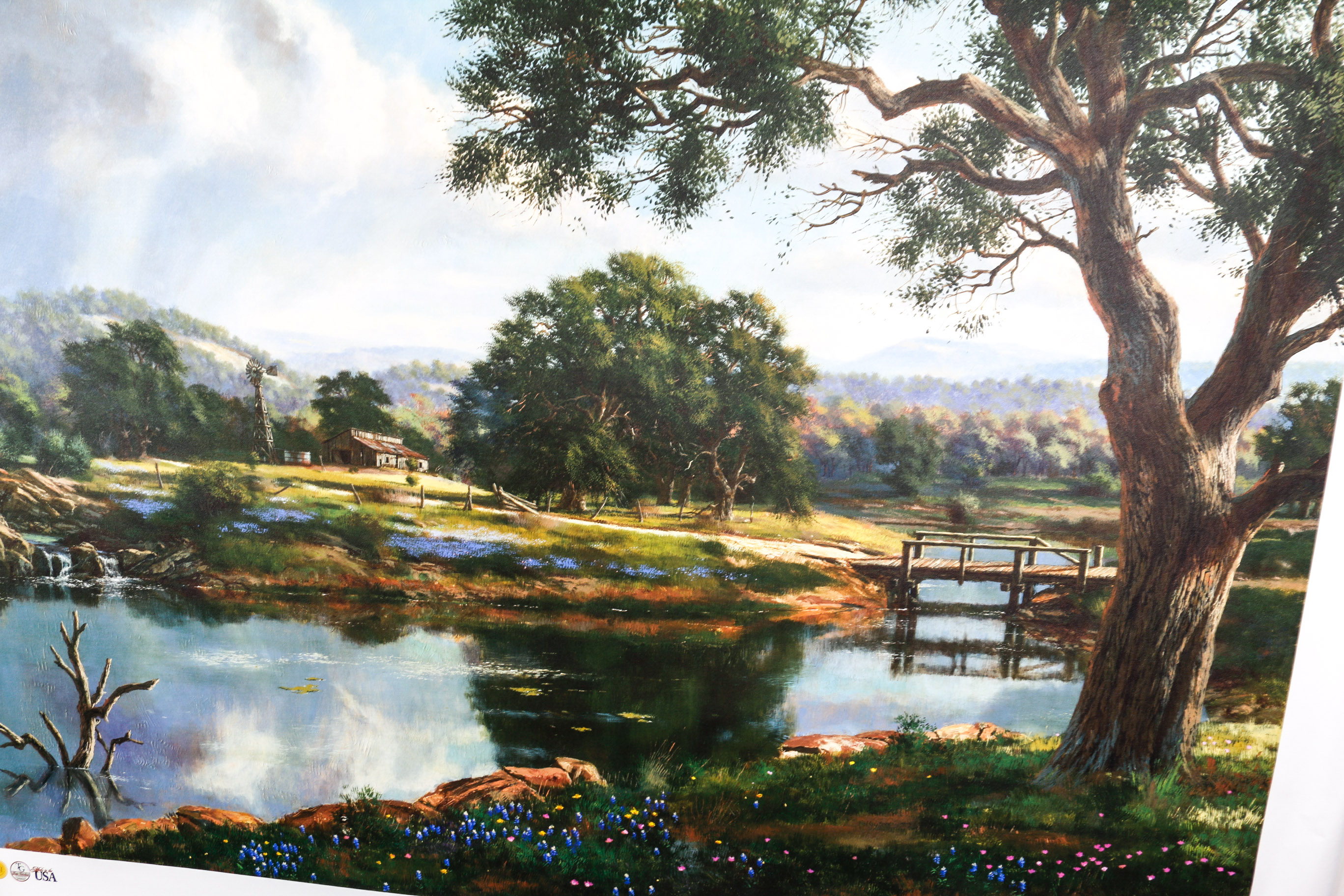 Unframed "Peaceful Pond" Giclee