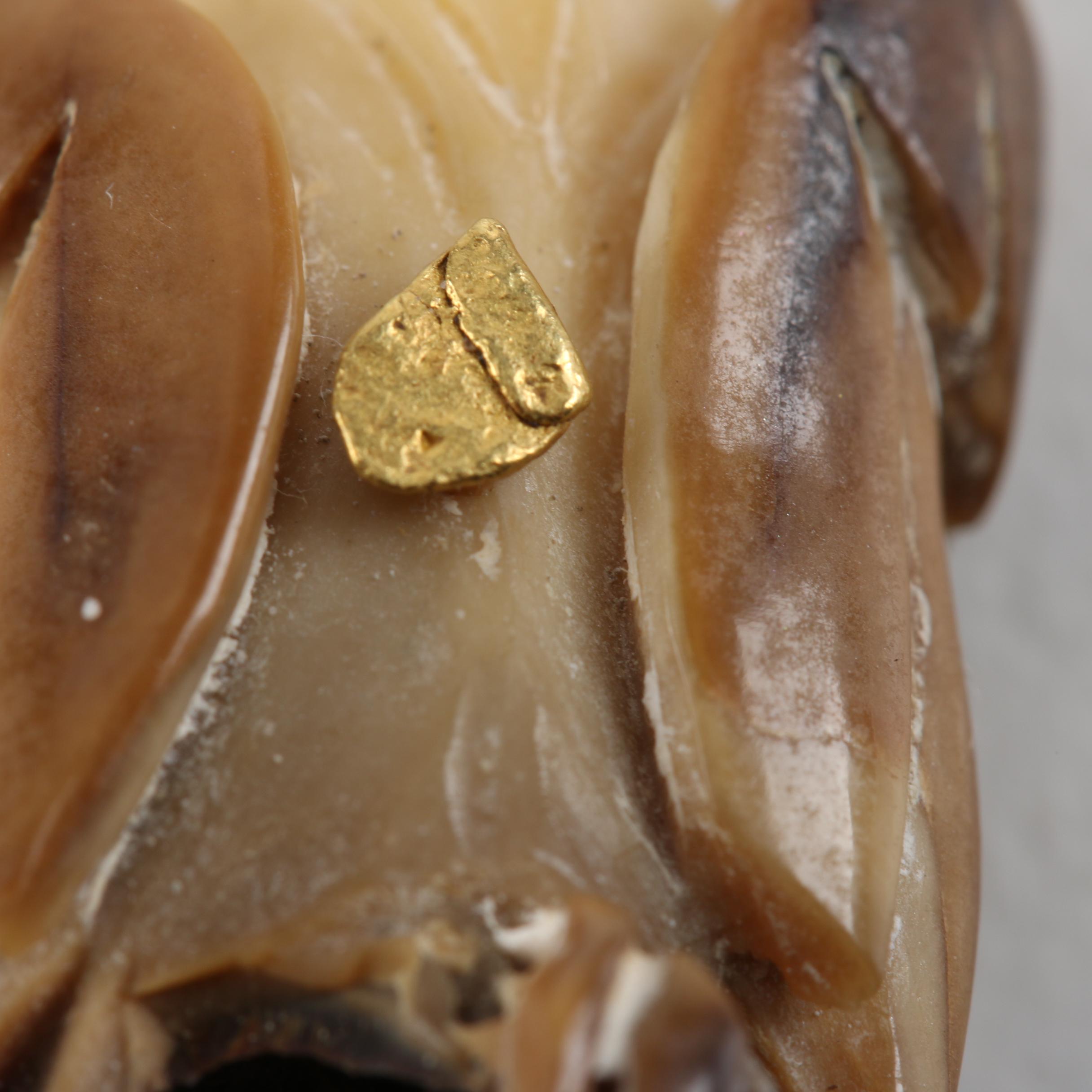 Costume Jewelry Featuring Bone and and Clay
