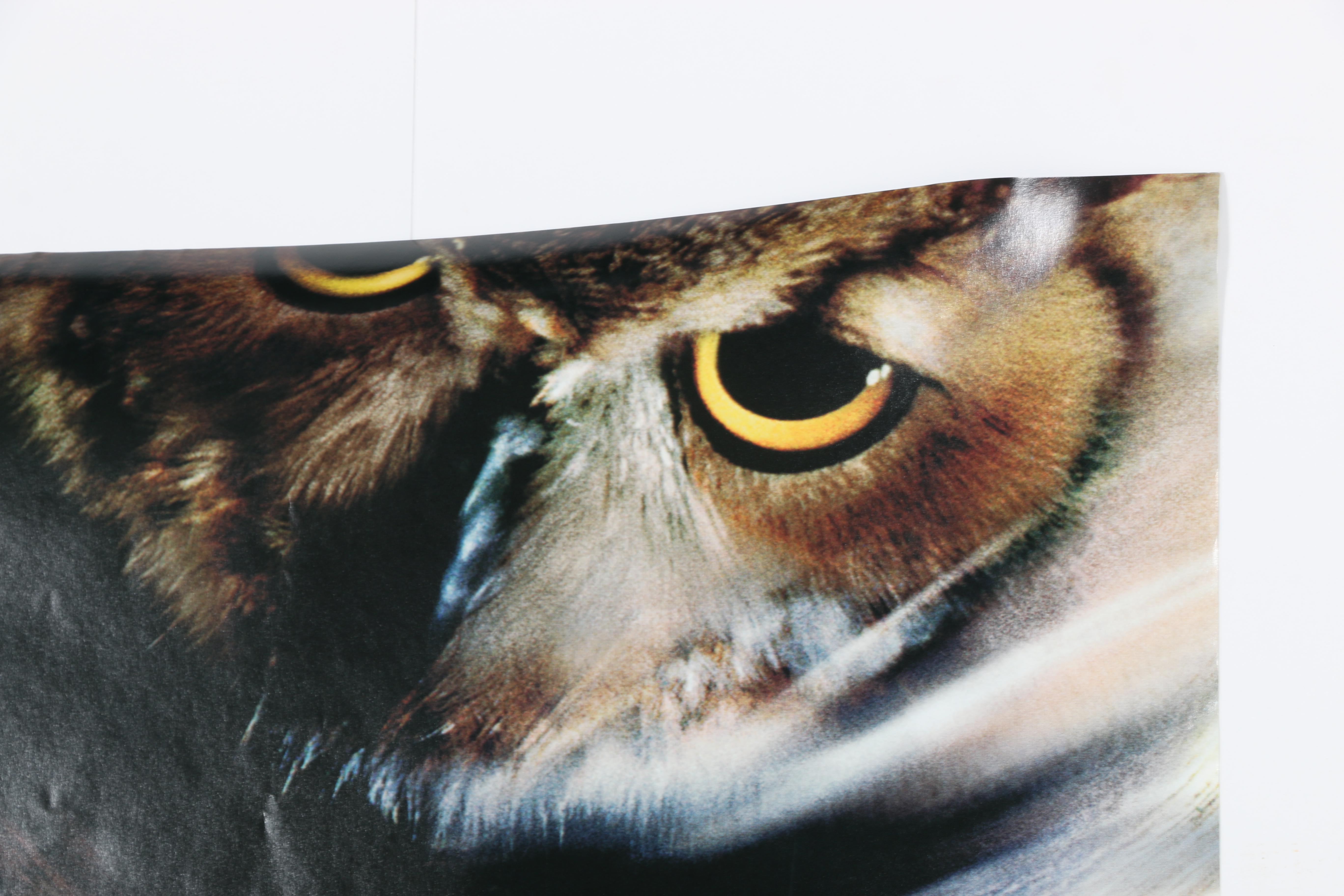 "Harry Potter and The Sorcerer's Stone" Movie Posters