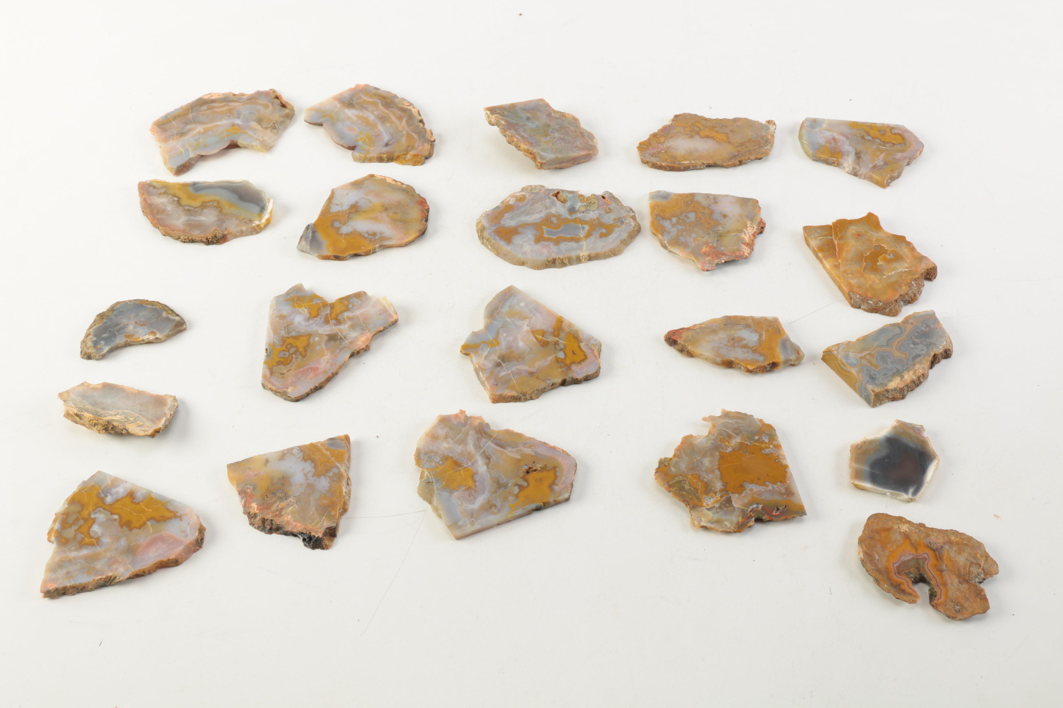 Kentucky Agate and Chert Slabs