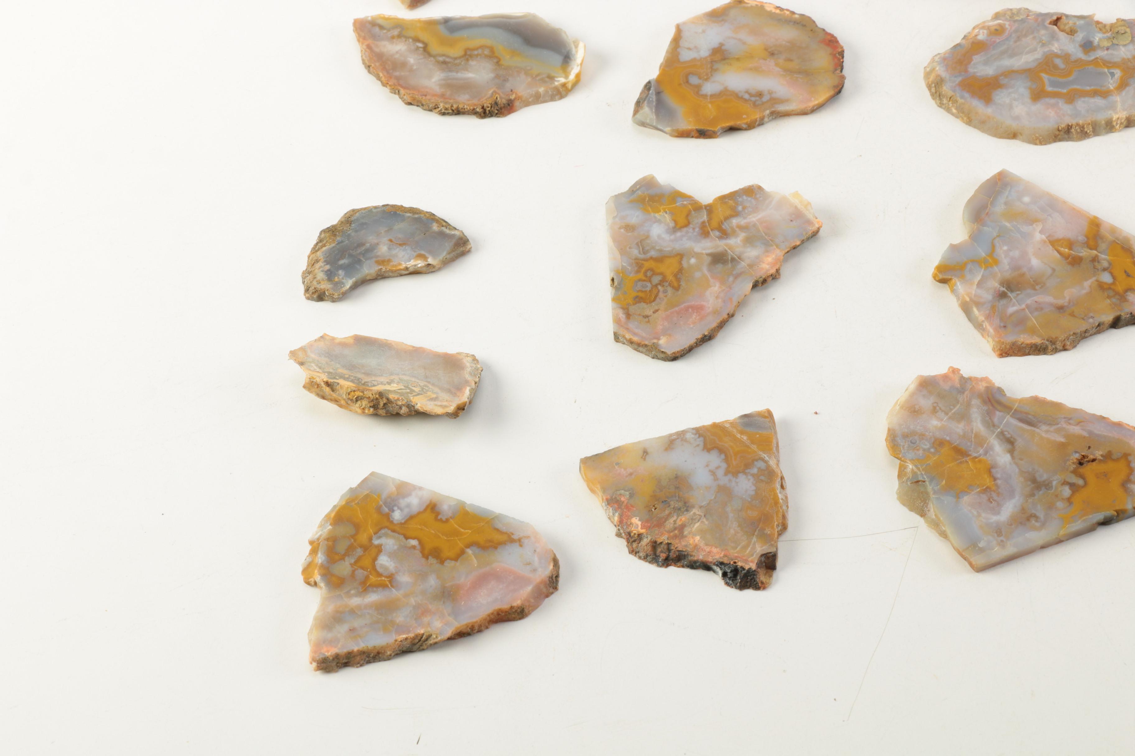 Kentucky Agate and Chert Slabs