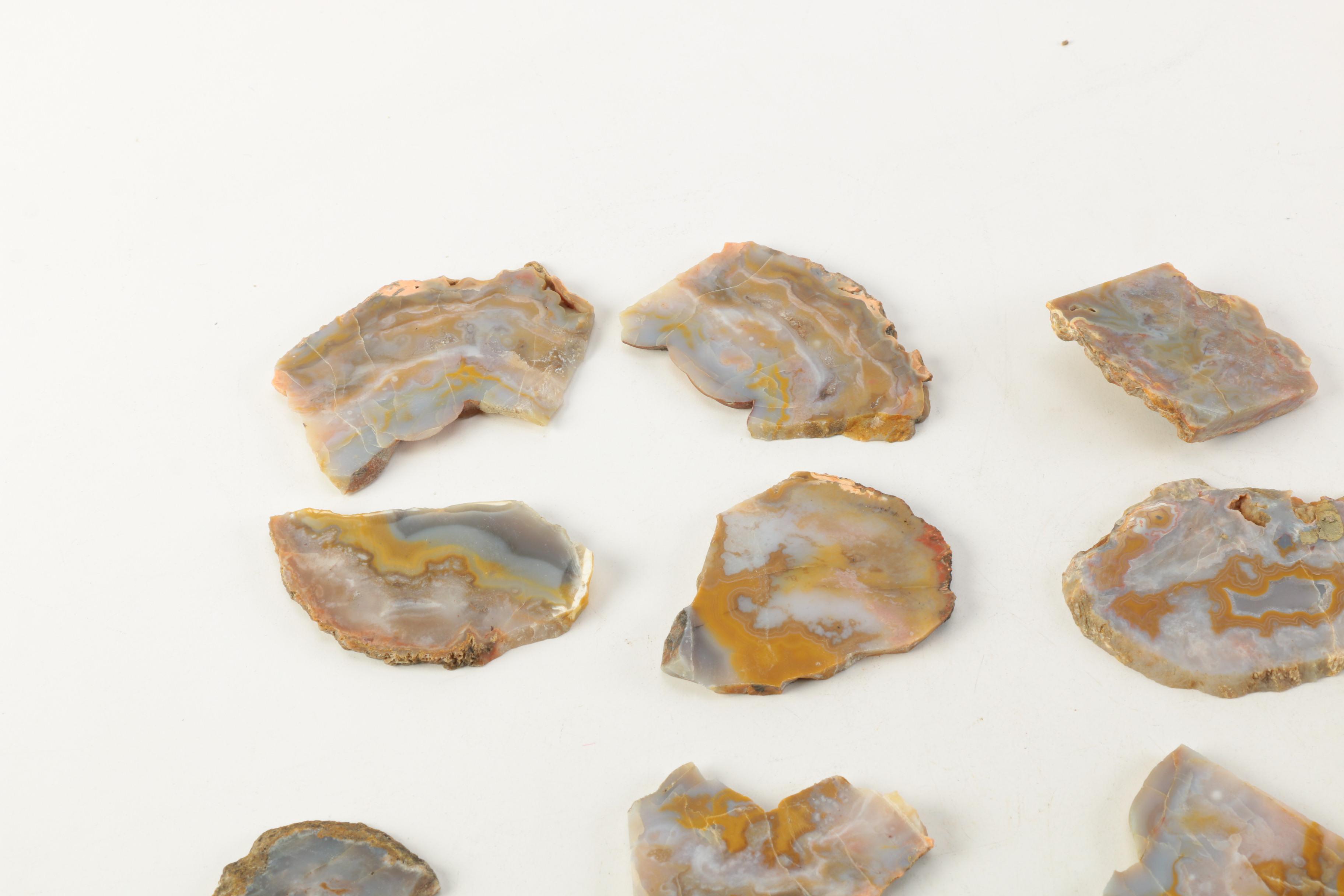 Kentucky Agate and Chert Slabs
